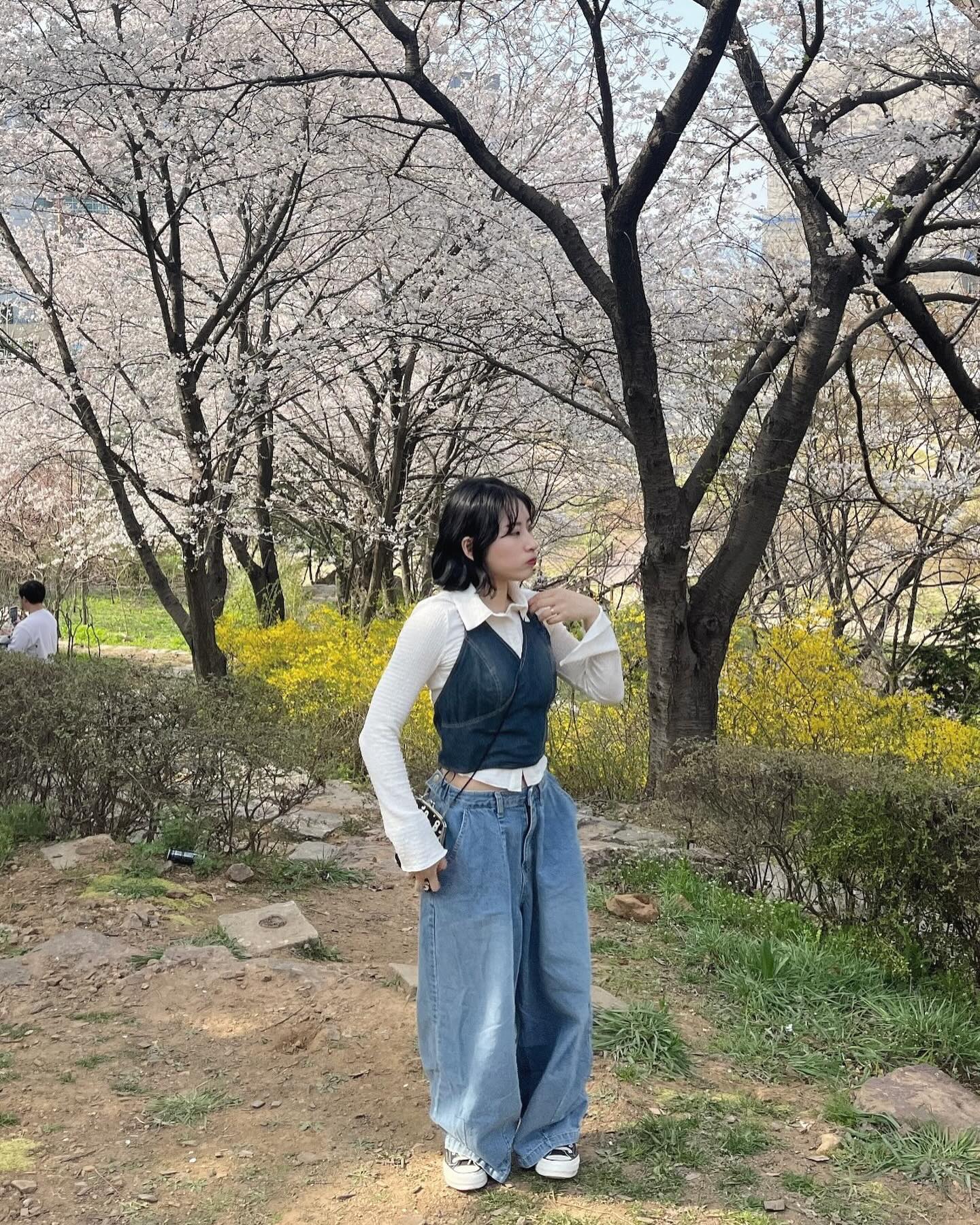 나두 벚꽃🌸