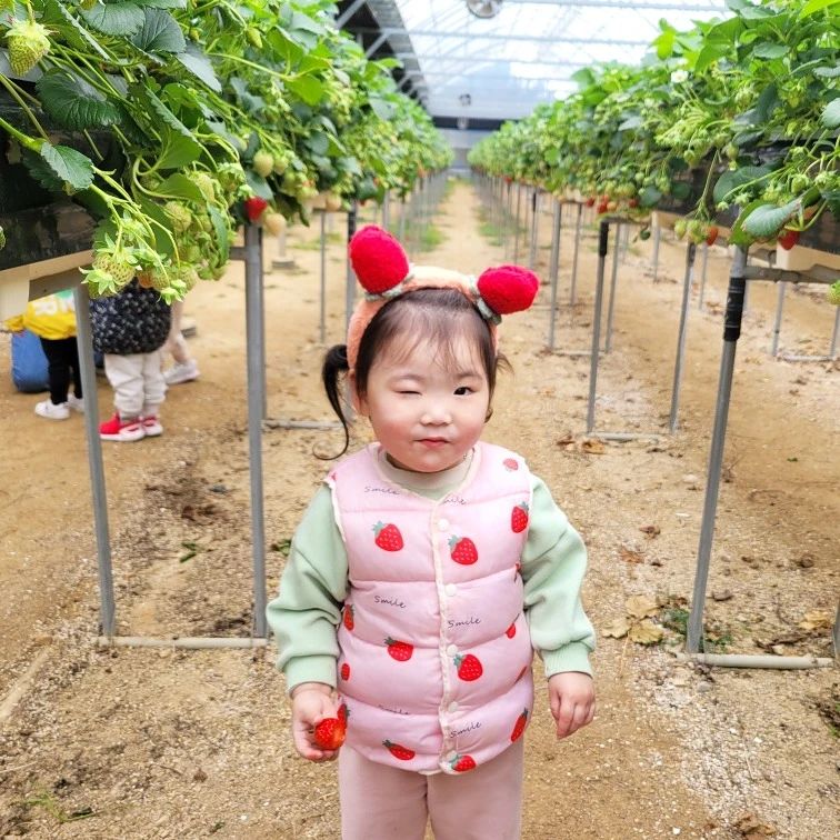 진쨔 박채빛 귀염뽀짝... 누가 딸기체험가서 딸기화보찍고오래? 윙크는 모야 진쨔...휴
