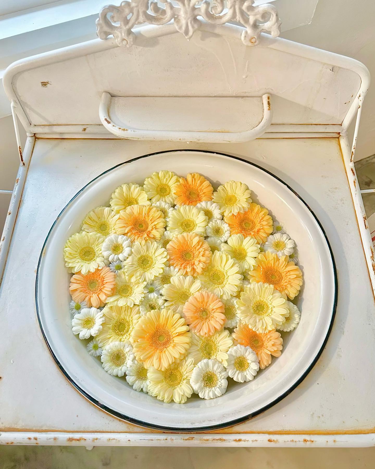 🌼