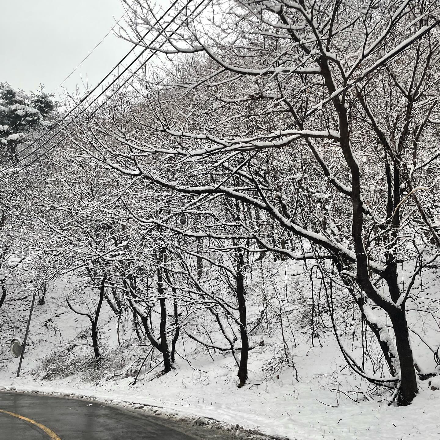 우아아앙
.
.
.
.
#낮드라이브 #겨울왕국 #새해 #흰눈 #감사합니다 #밤드라이드 #새벽드라이브 #아침드라이브 #드러이브코스 #드라이브 #드라이브맛집 #오랜만에 #심야드라이브 #night_view #drive #follow #korea #韓国 #ドライブ #夜 #フォロー