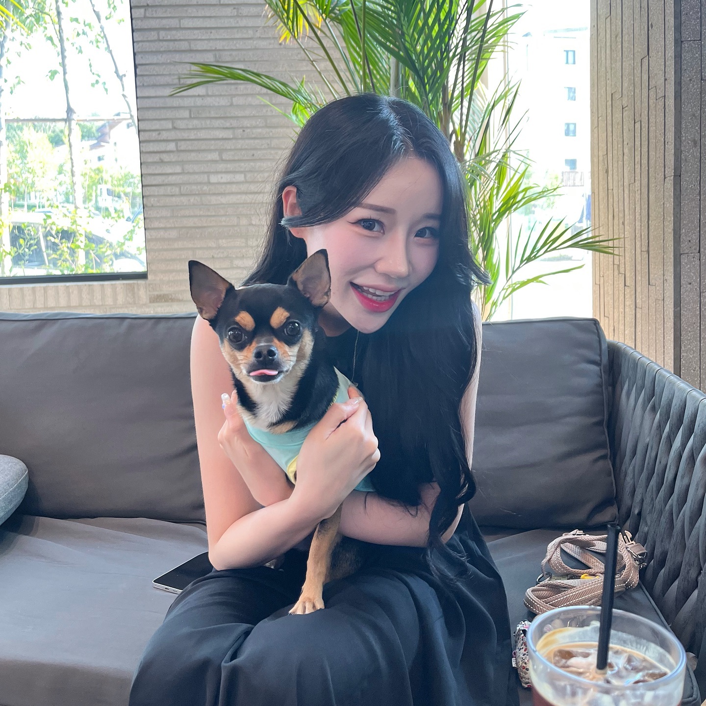 세상에서 젤 귀여운 치와와 🐕
