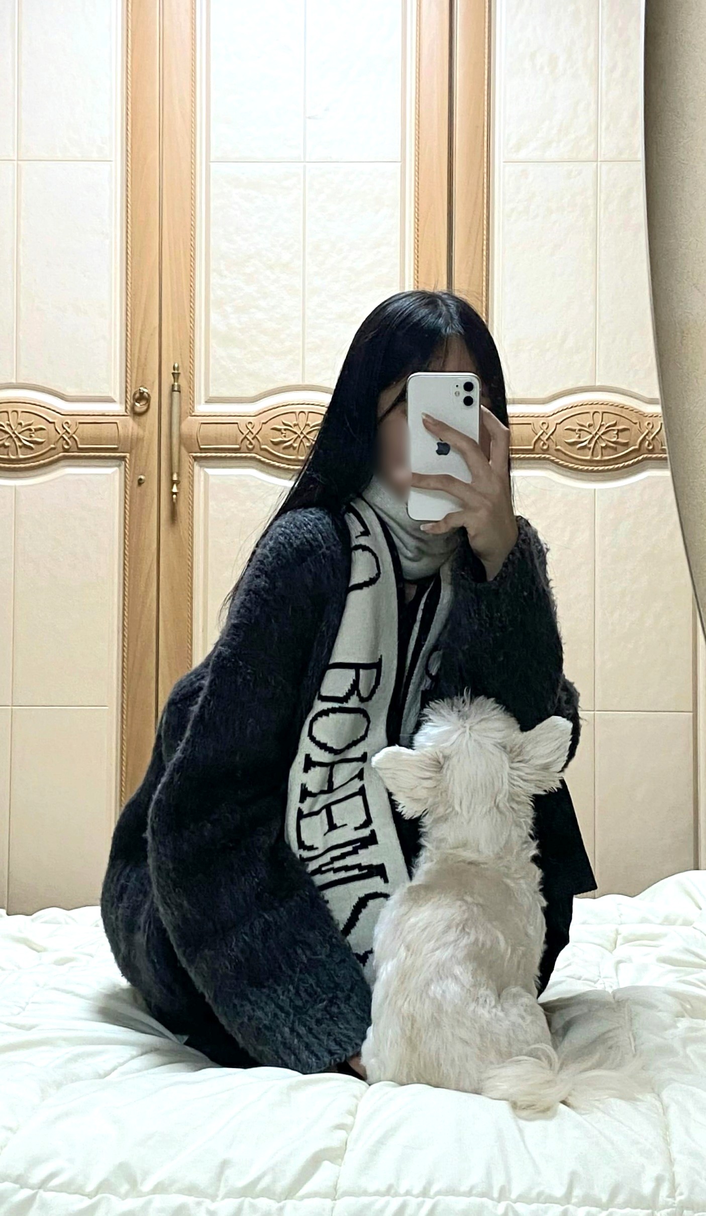 콘텐츠