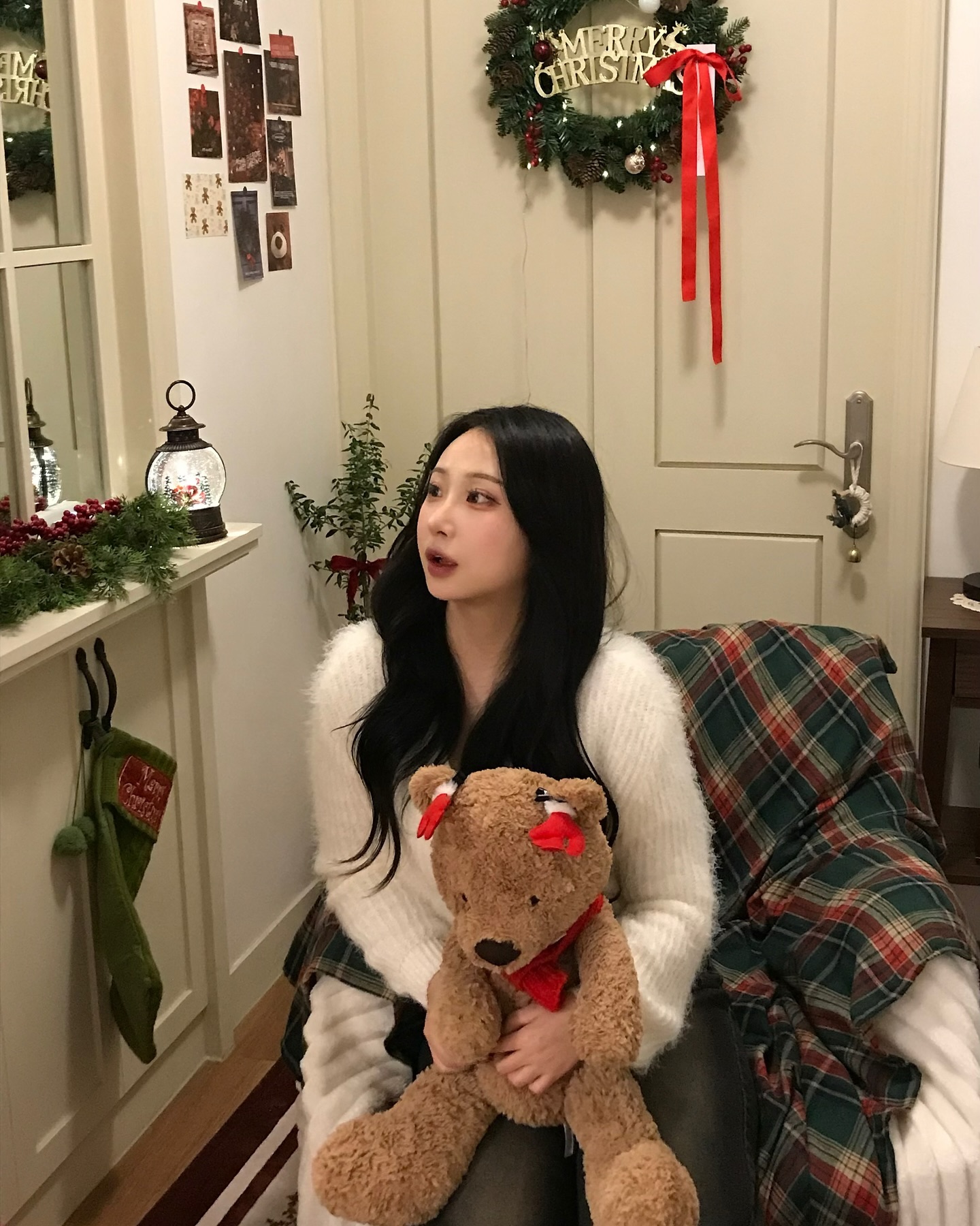🐻 + 🎄