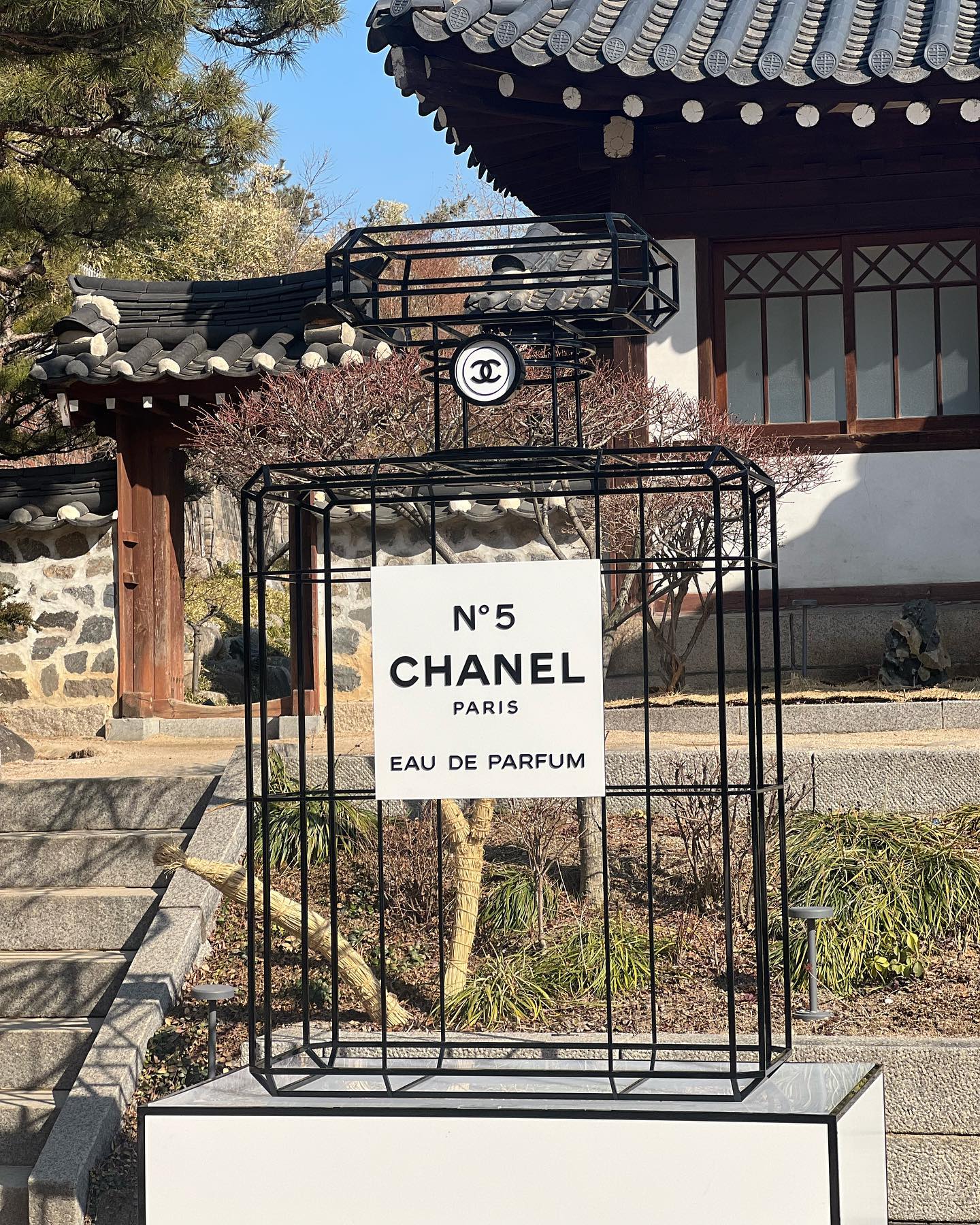 샤넬 러버들의 조향클래스 💖