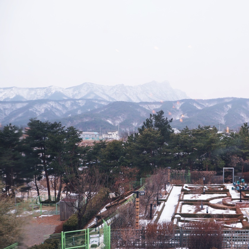 설악산뷰가 보이는 북카페&카페 #설악산책 
1층에는 책이 있는 서점겸 북카페, 2층에는 카페소리가 있어요.

커다란 창으로 눈 쌓인 설악산 보면서 커피 타임~ ☕
설악산이 보여서 경치 너무 좋아 창밖만 봐도 힐링이었어요.
그리고 커피도 진하고 맛있어서 굿굿!! 👍👍
분위기 좋아서 아이들 게임하라고 하고 커피 한 잔 하며 시간을 보냈어요. 😊

#설악산뷰카페 #강원도카페 #속초카페 #속초여행 #강원도여행
