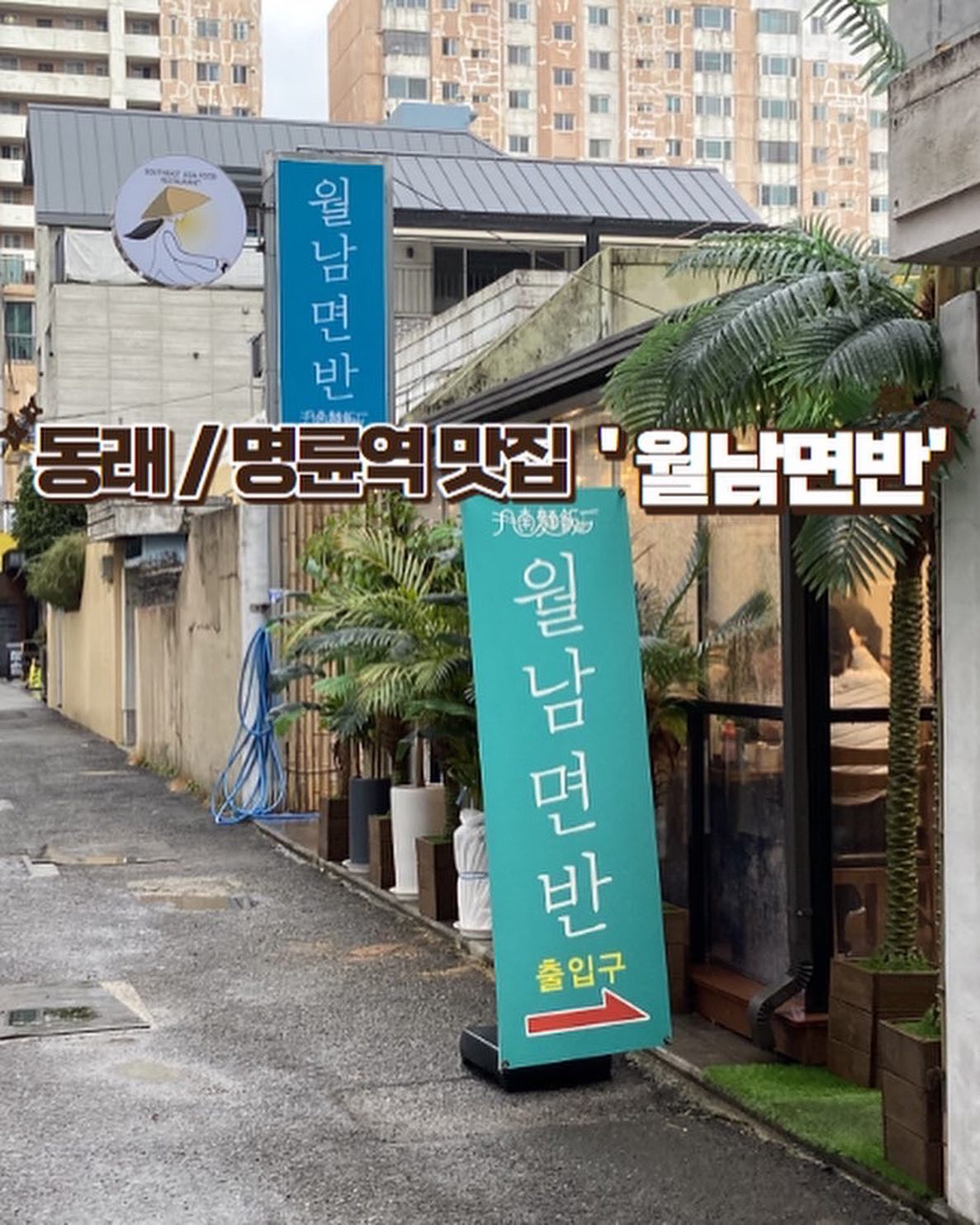 #협찬 

동래/ 명륜역 ‘월남면반’을 다녀왔어요✨ 

평소에도 쌀국수를 엄청 좋아해서 기대하고 방문했답니다!!!
병원 갔다 오는길이라 가까워서 좋았어요💟 

동래에서 유명하다고 소문을 들었어서 
엄청 기대하고 갔는데 
12시 예약이였는데 사람이 가득가득했어요!! 
(저는 천천히먹고 사람 빠지길 기다렸다가 좌석 사진도 좀 남겼어요!) 

사실 이 날 진짜 엄청 많이 먹고싶었는데 
몸이 좀 안좋아서 엄청 조금만 시킨게 진짜 너무 속상한거 있됴,,,🥲
요리하나 더 시키려고 했는데....🥹 

근데 여긴 저 꼭꼭 다시 방문 하고 싶어요, 
왜냐면 엄청 청결했고, 담백하고, 정말 맛있었어요! 

저는 

✔️ 스지 쌀국수 
✔️불고기 반미 
✔️깔라만씨 에이드 

요로케 세가지 먹었어요!! 

쌀국수도 너무 담백하고 스지 제대로는 처음 먹어봤는데 
야들야들하고, 쫀득한 식감이였어요! 
엄마는 고수 완전 좋아하는 쪽이라 고수 요청했고 
싱싱한 고수로 가져다 주세요!! 🌱

쌀국수야 뭐,, 진짜 말하자면 입아파요🫶🏻

제가 추천하는 메뉴는 ✨불고기 반미✨ 👍🏻👍🏻 

저 3일 내내 엄마랑 친구들한테 거기 반미 먹고싶다고 
계에에에속 노래 불렀더니 
도대체 어디냐고 다들 물어봤어욬ㅋㅋㅋㅋ 

명륜역 롯백 뒷편 ‘월남면반’이였다 이것들아!!!

그리고 반쎄오, 분짜 등등 정말 맛있다고해요! 
푸팟뽕커리가 유명한거 같더라구요!! 

근처에 계시면 가보는거 추천!!! 

📍주소 
부산 동래구 중앙대로1367번길 48-17 (온천동) 
📍영업시간 
11:00-22:00 (B.T 16:00-17:00 , L.O 21:00) 

#협찬 #동래맛집 #월남면반동래점 #월남면반 #동래월남면반 #온천장월남면반 #온천장맛집 #베트남음식 #동래쌀국수 #온천동맛집 #동래밥집 #동래점심 #온천장밥집 #베트남전통요리 #동남아음식 #월남면반동래점반미 #월남면반동래점반짜조 #월남면반동래점쌀국수