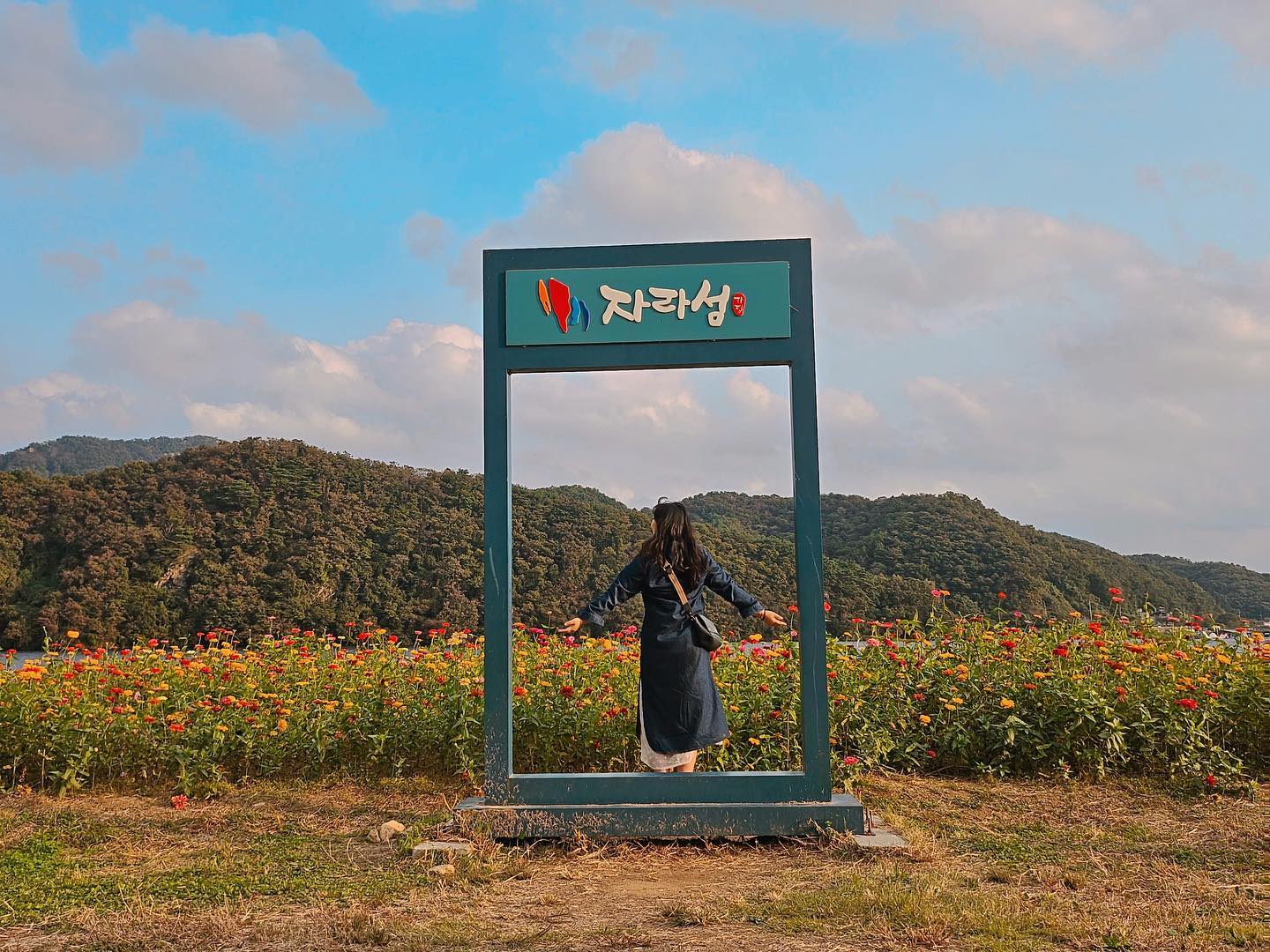 자라섬 드라이브🚘🚗
갑자기 쏟아진 소나기 때문에 ☔️
흠뻑 젖었지만 꽃 가득 가을 맛보기🍂🍁
#자라섬 #자라섬꽃페스타 #가평 #드라이브 #서울근교나들이 #가을여행 #follow #데일리
