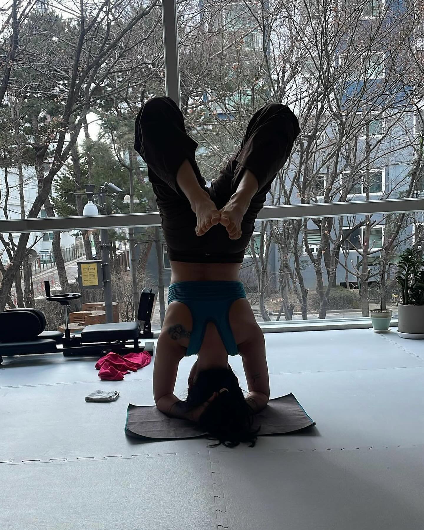 2024.02.03 kimy0una 토요하타
오랜만에 유나쌤 만나러 가는 날🩵
안타라반다 부장가아사나에서 머무르는데 정말 힘들었다.
오늘은 왼쪽 엉덩이통증이 덜해서 
하누만아사나할때 느낌도 괜찮았다. 
아직 오른쪽과 왼쪽 느낌이 다르지만 이정도에도 만족
다누라아사나에서 무게중심을 하체로 옮기며 상체를 세우는 것도 해봤는데, 쌤이 혼자 할 수 있겠냐고 하셔서
다급하게 아니요라고 외침😅
쌤이 손을 놓으면 앞으로 고꾸라질 것 같았다.
시르사아사나에서 흔들거리고 굴러떨어져도 다시 하고
오늘 시르사파다 접근도 하고, 
유나쌤 도움으로 컴업도 해봤는데 생각보다 하체 힘이 정말 많이 들어가더라. 새로운 느낌이었다.
깜빡하고 아무것도 안먹고 가서 마지막에 어깨서기할때 배에서 꼬르륵 거려서 너무 민망했다😅
오랜만에 유나쌤과 함께 해사 즐거웠던 수련🩵

#hathayoga #hathaintensive #hathapractice #yogalove #시르사파다