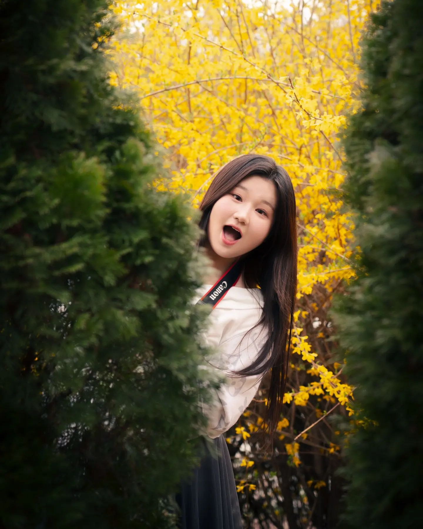 나리나리개나리🌼