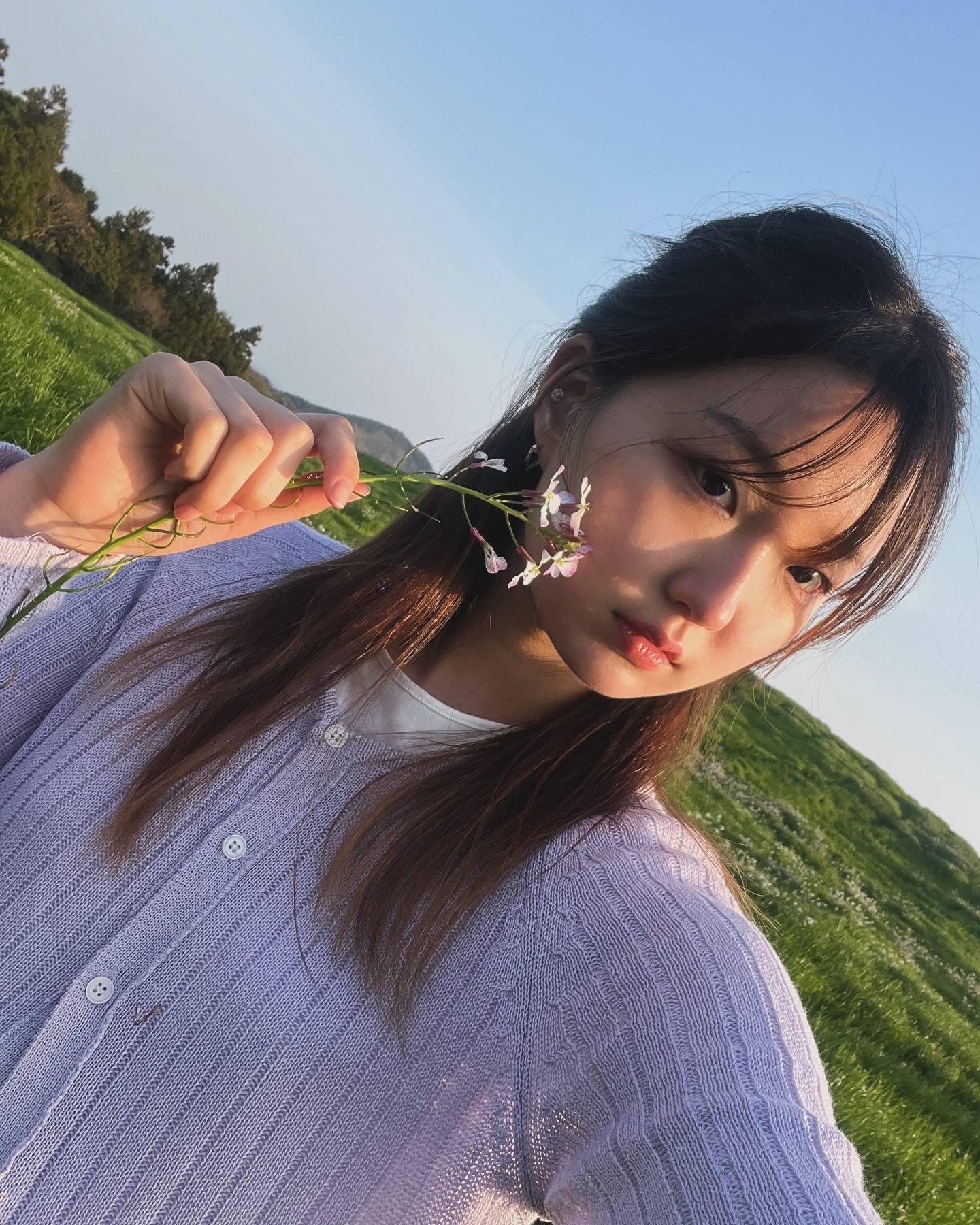 갯무꽃🌿🌸