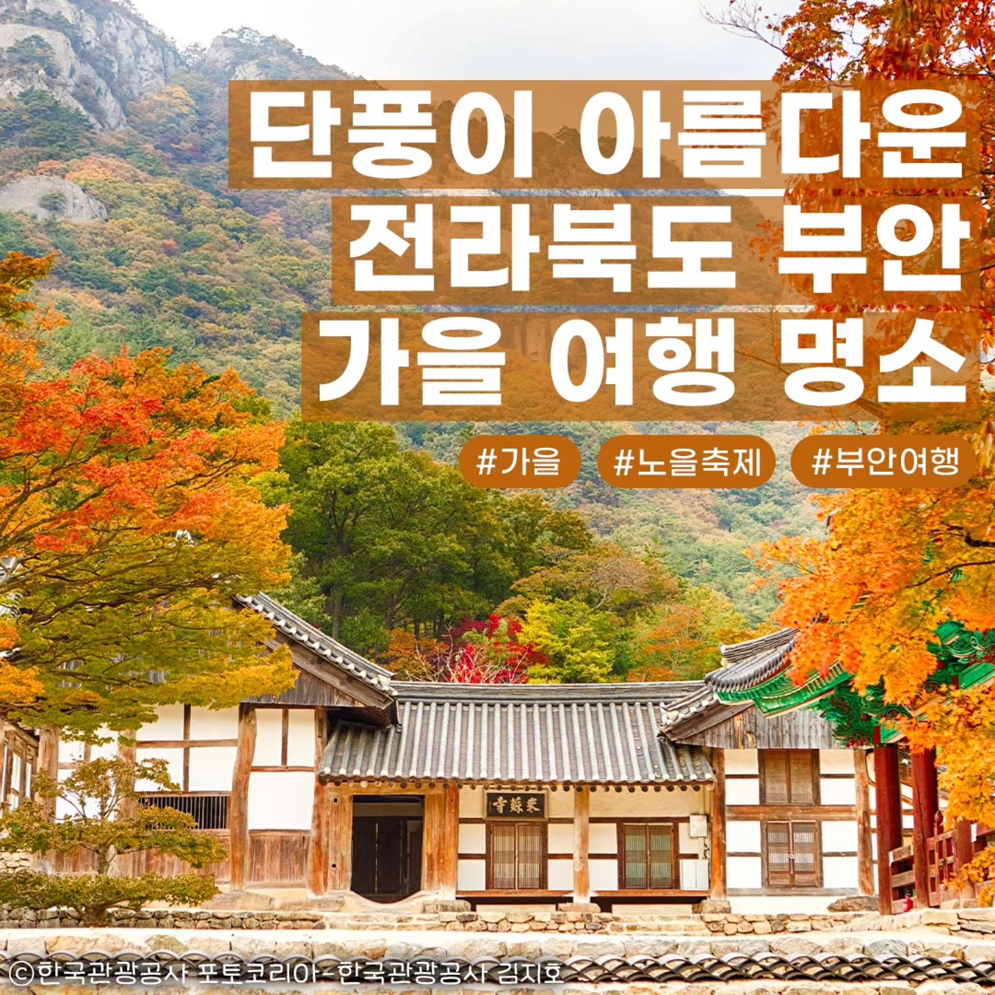 #지자체지원 #부안

단풍이 아름다운 전라북도 부안+_+
🧡가을 여행 명소 모음집 🧡

#줄포만노을빛정원
📌대규모로 펼쳐진 정원으로 가을에는 핑크뮬리 군락지로 변신!

#내소사
📌단풍하늘을 보며 여유롭게 힐링하기에 좋은 부안 관광지

#직소폭포
📌맑은 수질을 자랑하는 폭포! 시원한 가을여행코스로 추천

#청자박물관
📌청자모양으로 건축된 이색적인 외관과 청자 체험도 가능한 곳

#솔섬
📌서해안에서 가장 아름다운 일몰을 보여주는 부안 대표관광지!

#채석강해식동굴 #해식동굴
📌자연이 빚은 천연 포토존으로, 낮과 밤 모두 예쁜 인생샷 가능!

#변산해수욕장
📌붉은노을축제가 열릴 정도로 아름다운 노을과 포토존이 조성 

#부안붉은노을축제
🚩일시 : 24. 10. 11.(금)~13.(일)
🚩위치 : 변산해수욕장

#부안곰소젓갈축제
🚩일시 : 24. 10. 3.(목)~5.(토)
🚩위치 : 곰소젓갈발효식품센터 앞 특설행사장

.

.

#대한민국구석구석 #부안가볼만한곳 #전라북도 #부안여행 #부안핫플 #부안여행지 #부안여행추천 #국내여행 #국내여행지 #부안가을여행 #부안관광명소 #부안축제