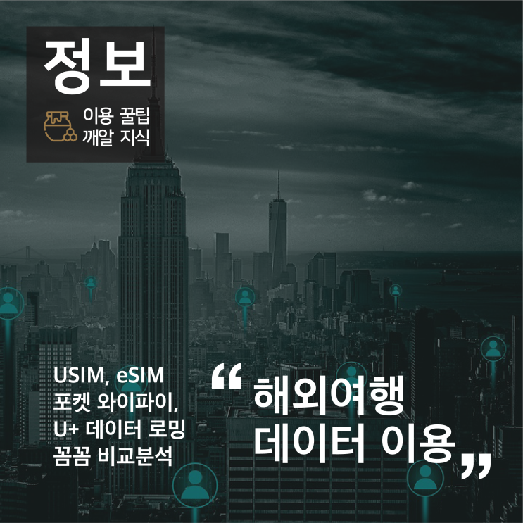 해외여행 데이터 이용 : USIM, eSIM, 포켓 와이파이, U+데이터 로밍 꼼꼼 비교분석