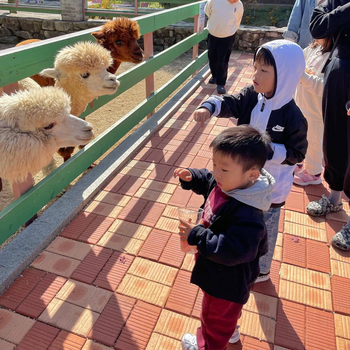 아기서우한테 형아라고 다 양보해준 도혀니 🫶🏽 
나중엔 하도 양보해줘서 ㅋㅋㅋ
“아기도 이제 형아될때가 된거같은데” 해서 빵터지고 
얼른 우유 많이 먹고 형아 될게 🤎