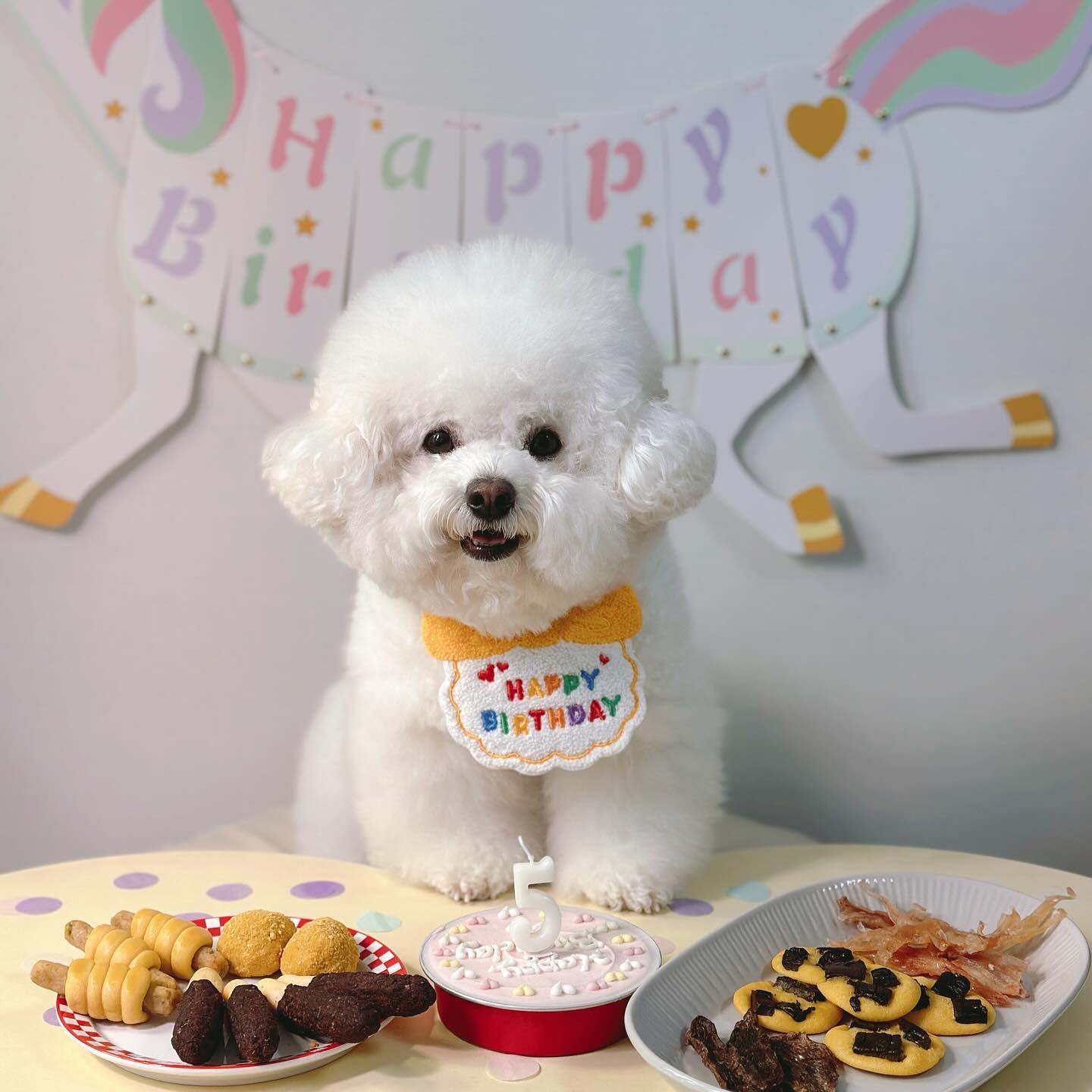 🥳🎂💛
울찌즈 5살 생일축하해💛
오랜만에 땡큐랑 순이랑 생파!!
순땡치즈 아프지말구 건강만하자❣️

#치즈생일 #생일축하해
#멍스타그램 #귀여운강아지 #강아지생일 #강아지케이크