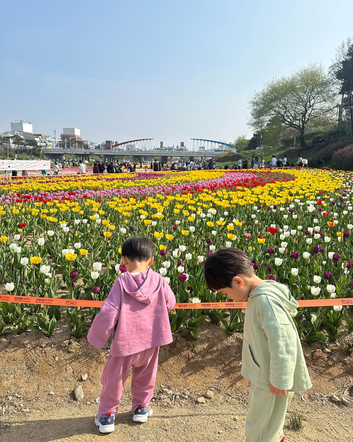 ⠀⠀⠀⠀⠀⠀⠀⠀⠀⠀
ᰔ+1291
묭 이모가 미리 어린이날 선물로 카봇 뮤지컬 예매해준 덕에
호강하고 온 둥이덜🥰
뮤지컬도 보고 벚꽃구경도 하고 온 날🌸
너희만 즐거우면 된거야 사룽해❤️🩷💙
.
#헬로카봇뮤지컬시즌7웰컴투파라다이스 
#벚꽃구경