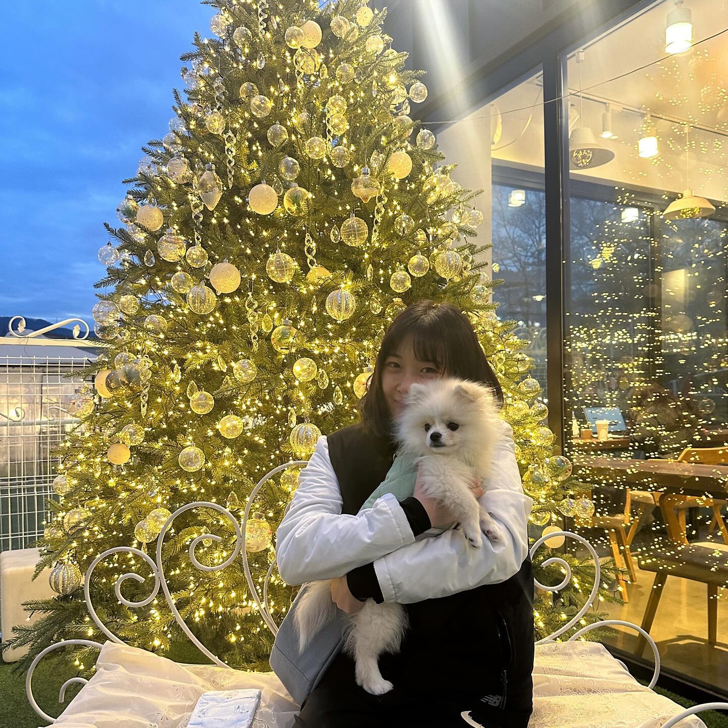 크리스마스 너낌 물씐🎄🎅🏻