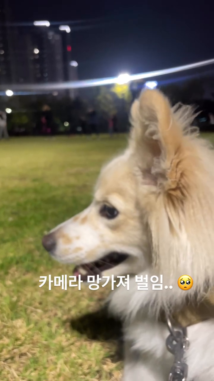 초점이 안맞는다 ㅠㅠ 마요 릴스 올려야되는데