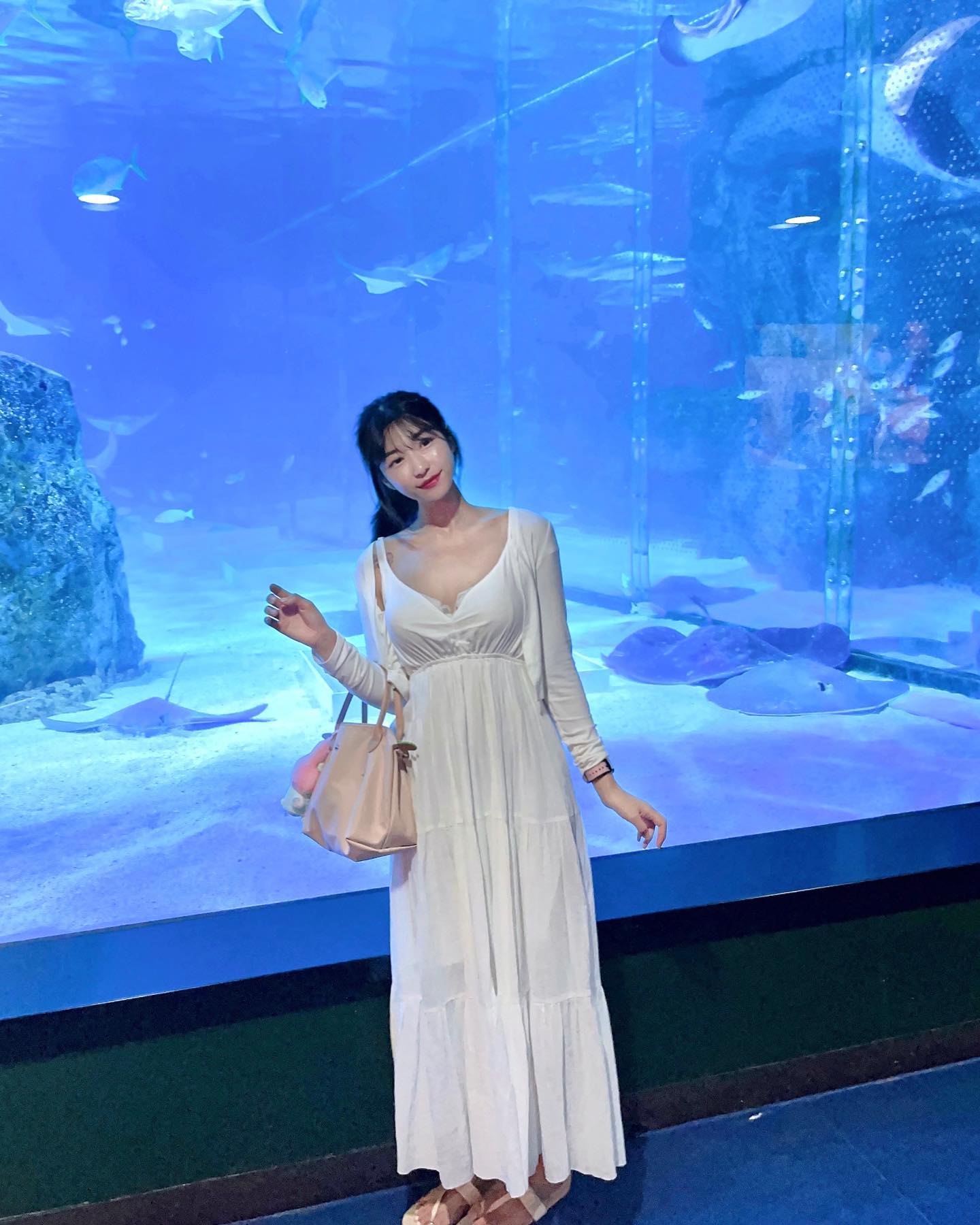아쿠아리움 사랑행🪼🐠🐟🐬🐋🩵🤍🩵🤍