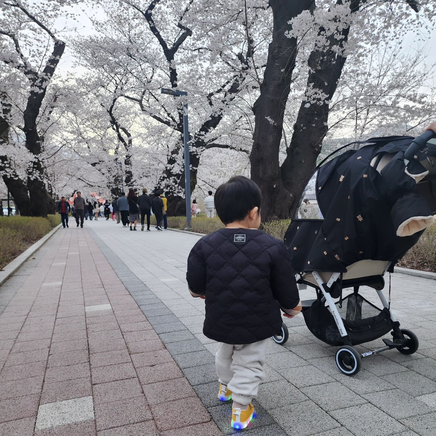 작천정 벚꽃길 🌸 

거의 20년 만에 방문했는데...
예전보다 더 깔끔하고 벚꽃 구경하기 좋아졌다.

덜 핀 것 같은데도 너무 예뻤다 😊 

또 와야지 ㅎㅎ

ulju_trip

#고고울주 #시즌1 #울주벚꽃만개 #울쭈트립
