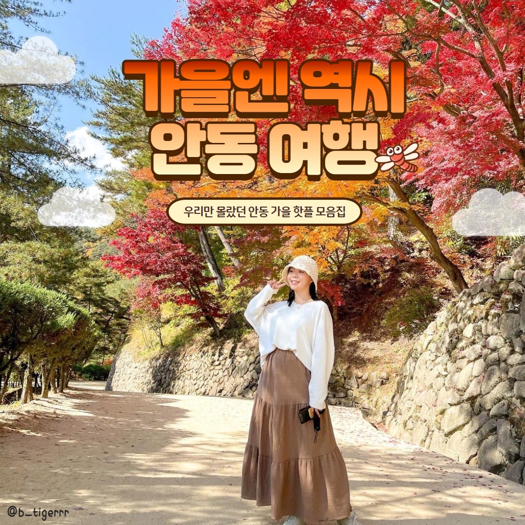 #광고 
[안동 가을 여행 모음! 역시 #안동 🍂]

🤍 #하회마을개미취꽃밭
보라보라한 개미취 꽃밭이 잔뜩 만개하는 가을이 돌아왔어!
한옥과 개미취꽃의 조화...💜

🤍 #선유줄불놀이
9/30, 10/7, 10/28에 #하회마을 에서 진행되는 낙화놀이!
놓치면 후회 각! 일정 얼른 저장저장@@

🤍 #낙동강물길공원
이거 실화...? 그림이야 영화야 뭐야 ㅠㅠ 너무 아름다운 장소!

🤍 #학가산
안동에서 파란 가을 하늘과 가장 가까이 만나는 법! 시원한 가을 바람에 등산 레쓰고!

🤍 #도산서원
가을이 되면 도산 서원은 울긋불긋 가을옷을 입고 기다린다구!
이번 가을 단풍놀이 어때?🤎

🤍 #용계은행나무
700살이 넘은 대형 은행나무! 보고만 있어도 웅장 그 잡채...!!

🤍 #월영교
월영교 야경 보며 타는 문보트! 이색 데이트 코스로 추천이야!

🤍 #한국문화테마파크
한국의 전통미를 가득 담은 매력적인 여행지! 한복 입고 특별한 추억 남기기!

🖤 2023 안동 국제탈춤페스티벌 🖤
장소: 구)안동역, 원도심, 탈춤공원 일원
날짜: 10.2 ~ 10.9
화려하게 꽃피는 탈과 탈춤!
얼쑤-! 흥 넘치는 친구들이랑 손잡고 나들이 각!

#대한민국구석구석 #안동 #안동여행 #안동가볼만한곳 
#안동여행지 #안동여행코스 #안동하회마을 #안동단풍 
#안동가을여행 #안동여행추천 #개미취 
#안동국제탈춤페스티벌 #안동탈춤