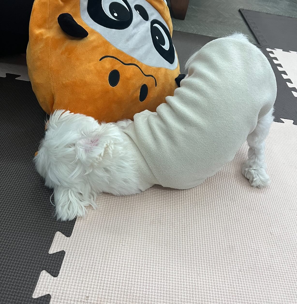 이건 무슨 자세일까..😮