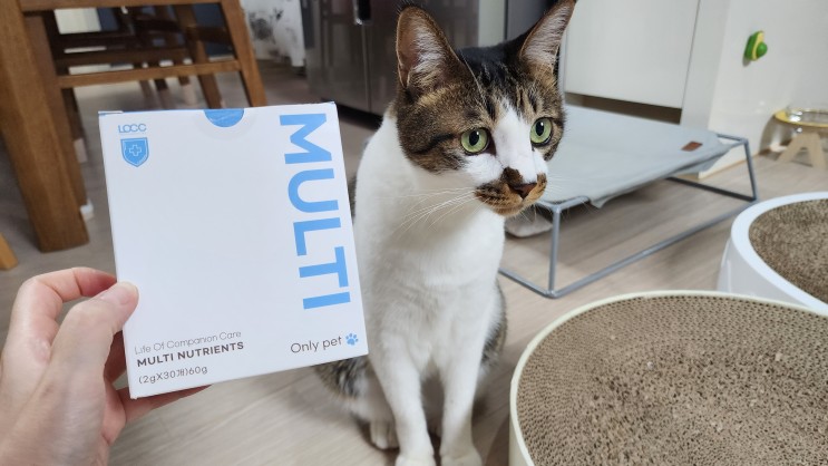강아지, 고양이 종합영양제 LOCC 멀티영양제로 내새꾸들 지켜!
