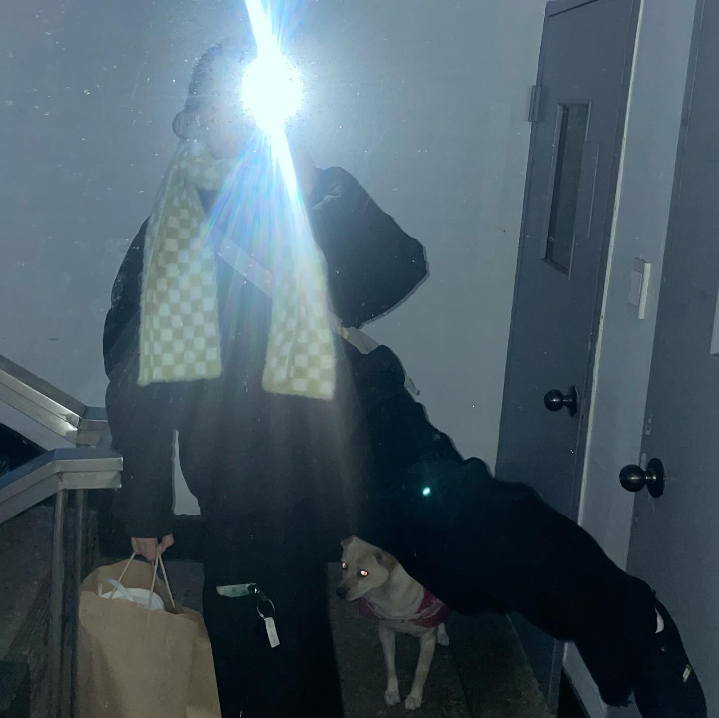 2024 1월 정산 😵