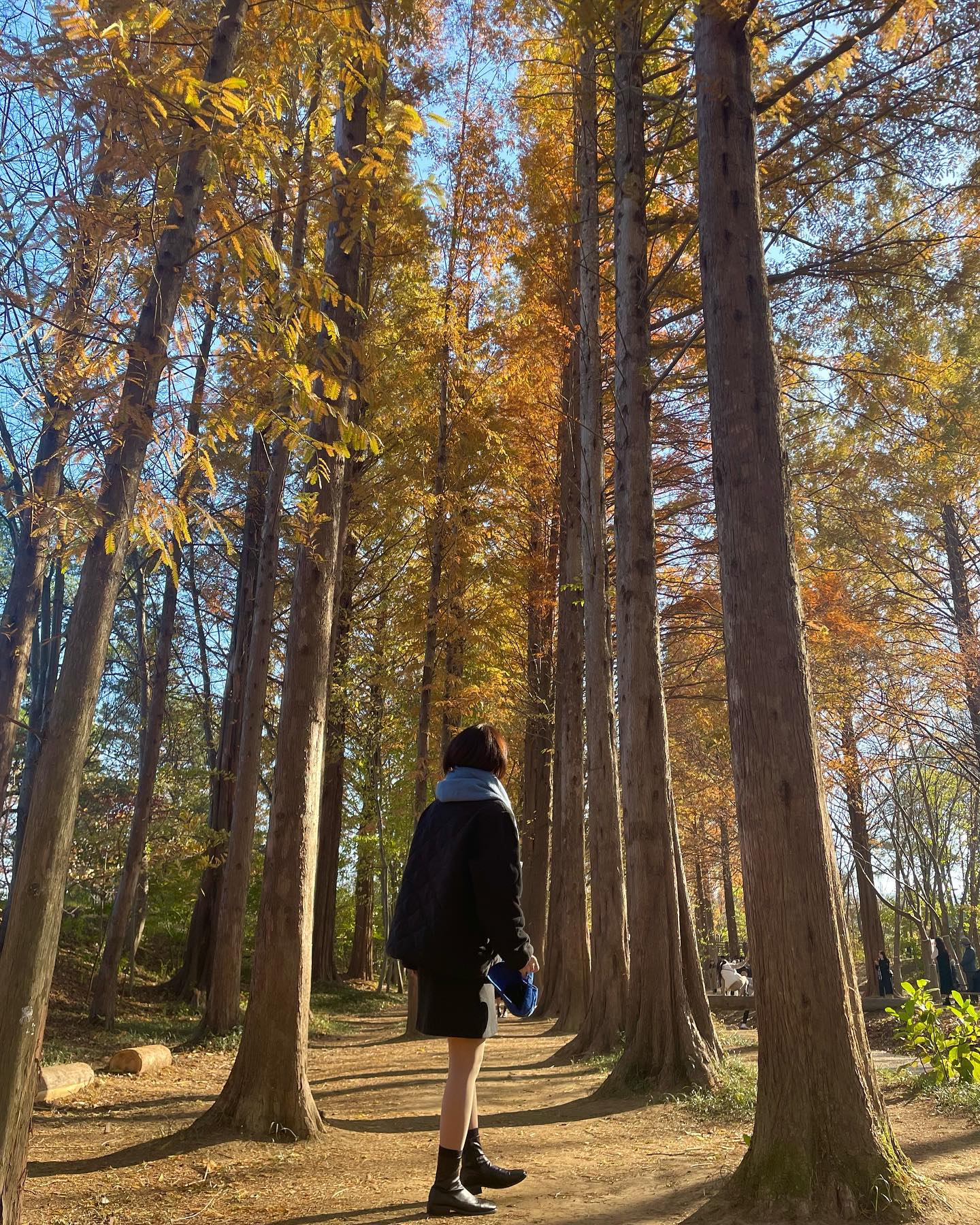 #단풍놀이🍁🍂