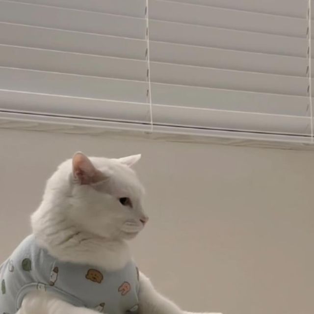 하나 on Instagram: "#협찬 가성비 좋은 매트리스 찾으신 분들 주목!! 편안한 휴식을 도와주는 브랜드 NUUB눕에서 토퍼 매트리스를 보내주셨어요 :) 바쁘게 지내다 보면 가구 배송일 맞추는게 생