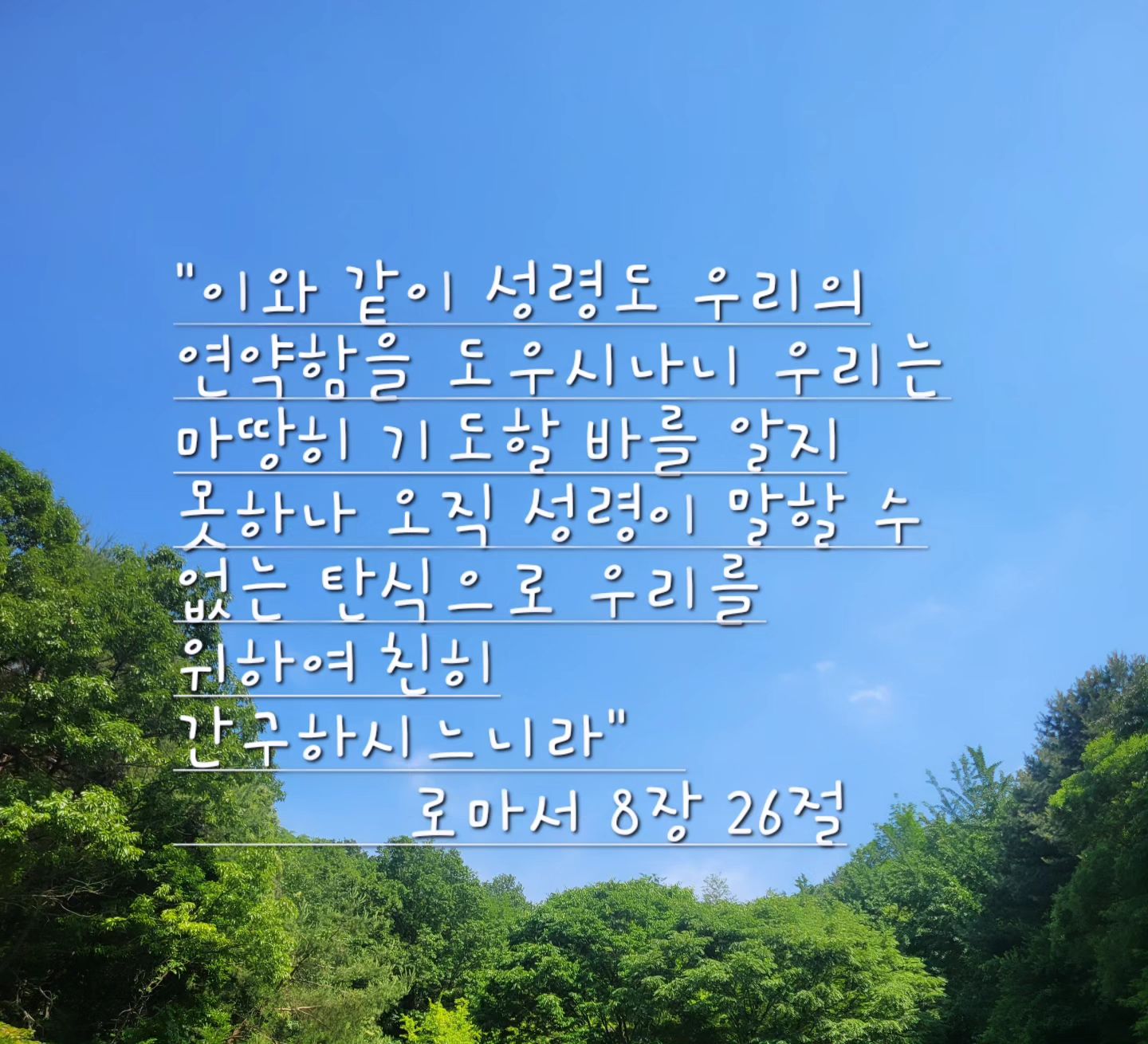 #말씀

오늘 암송해야겠다고
생각한 말씀

마음을 움직이는 
말씀

감사한 말씀
.
.
.
.
#성경말씀
#도우심
#감사함
#깨달음