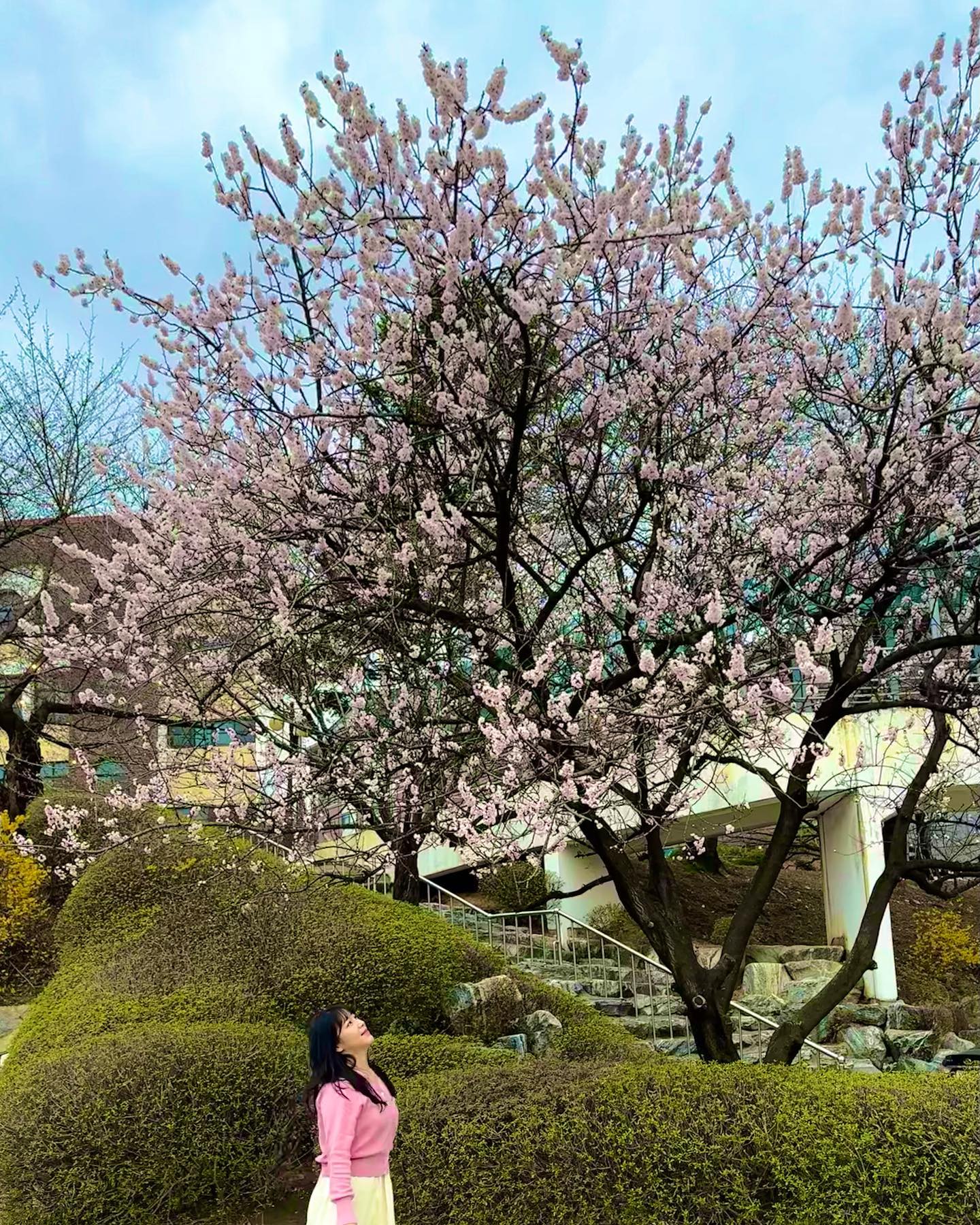 Cherry Blossoms🌸
-
-
-
-
-
-
-
#평택대학교 #벚꽃 #꽃 #데일리 #일상 #데일리룩 #얼스타그램 #셀스타그램 #셀카 #셀피 #좋아요 #좋아요반사 #선팔 #맞팔 #인친 #인친환영 #daily #dailylook #cherryblossom #flower #instagood #followforfollowback #like #likesforlike #selfie