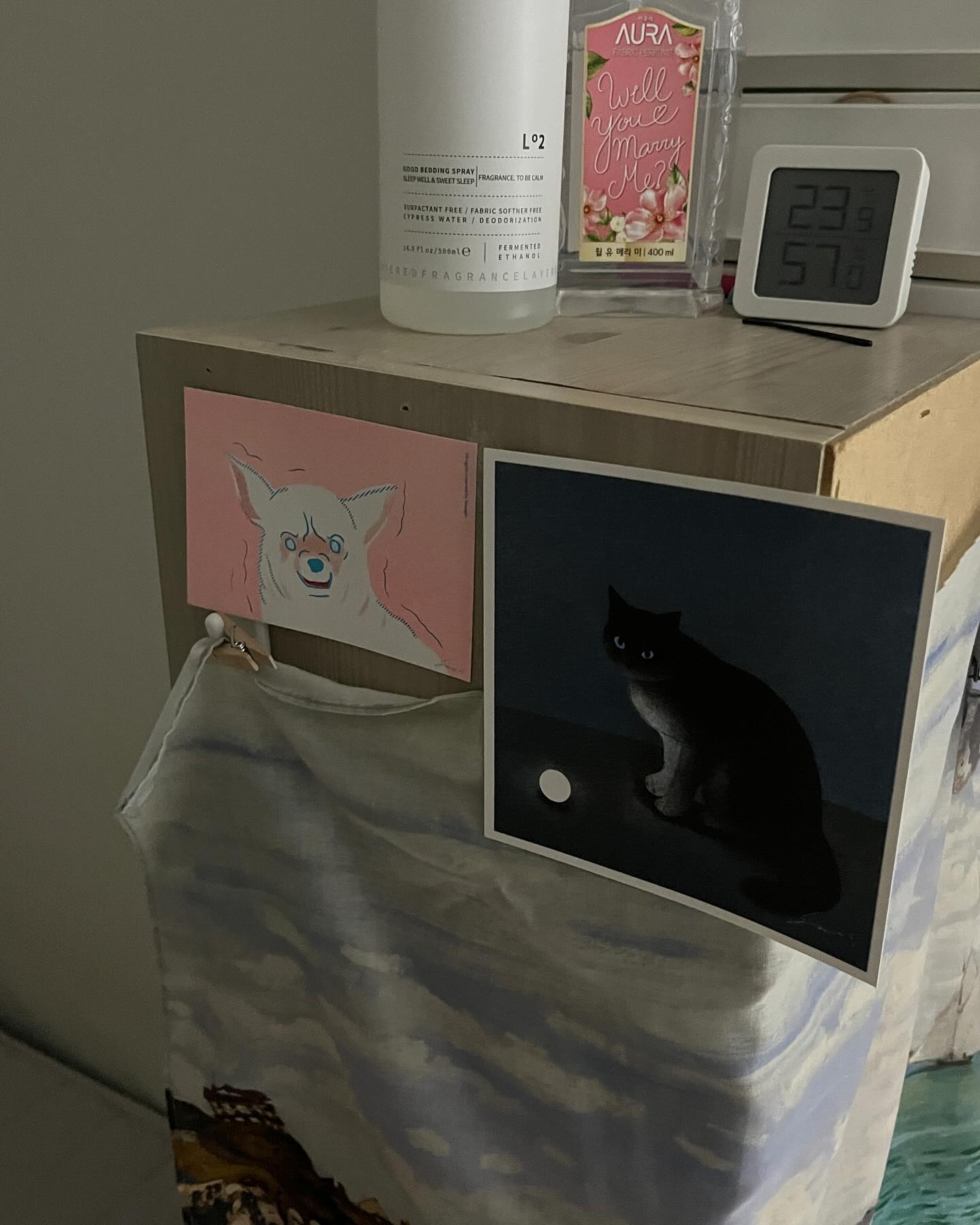 선물받은 쫑쫑과 나 🐕🐈‍⬛