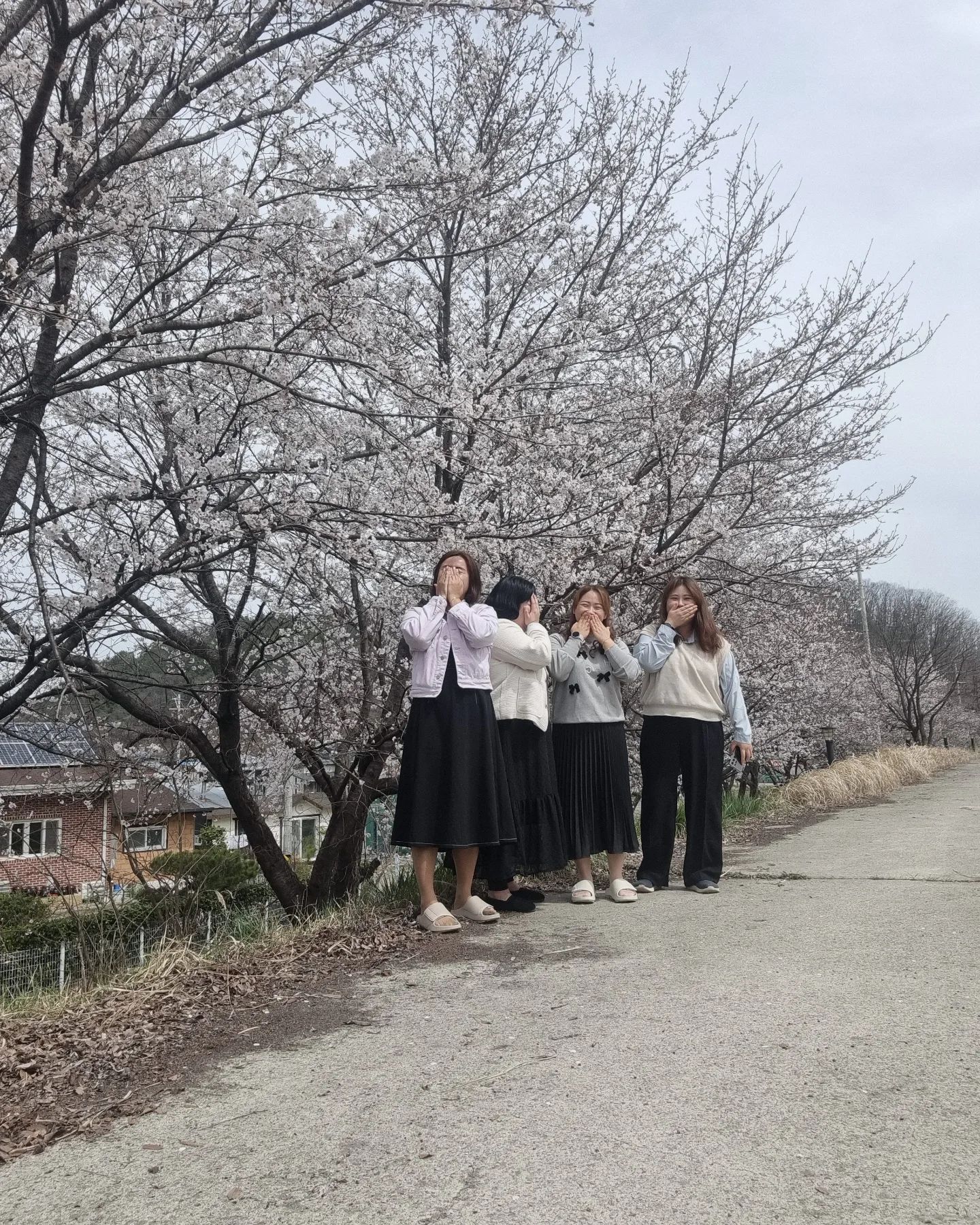 회사 앞에서 꽃놀이 🌼 
얼굴 없는 mz 포즈 따라하기
오늘도 즐거워 🎶 
twosemom 
hi__________hj 
@임토미