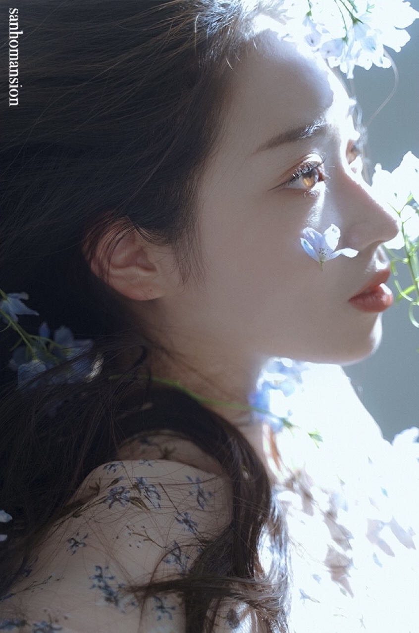 콘텐츠