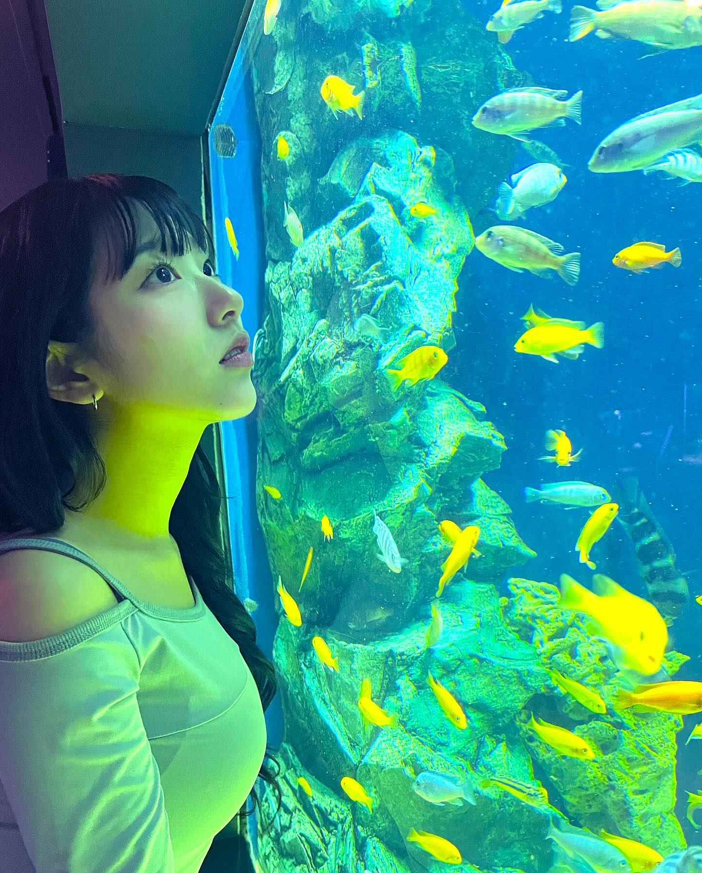 먀옹