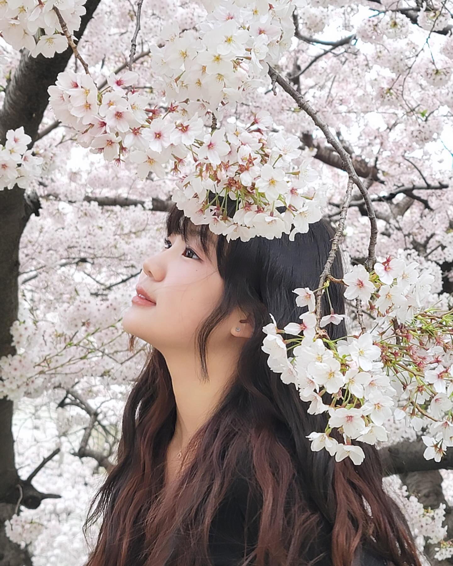 🌸(՞˶･֊･˶՞)🌸