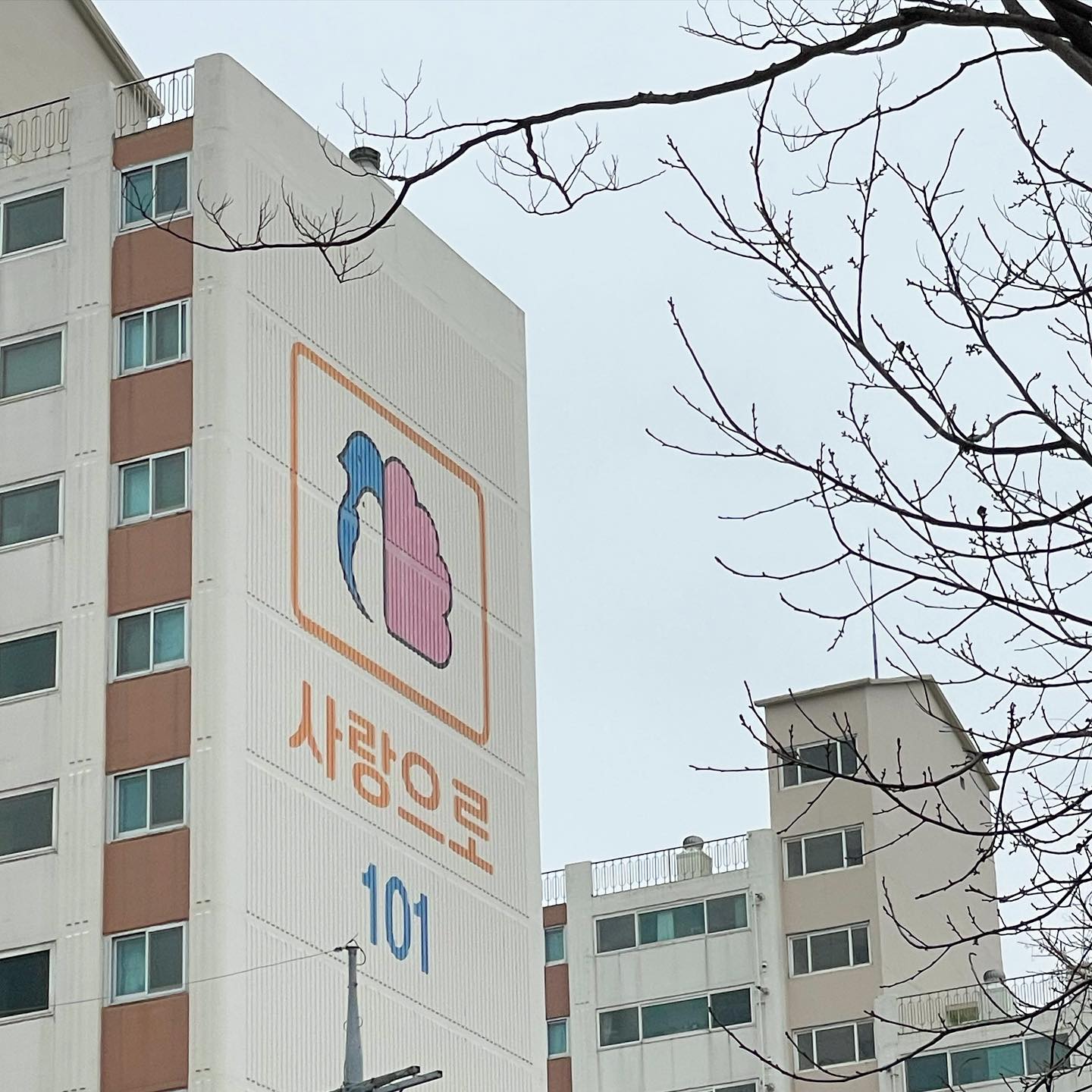 콘텐츠