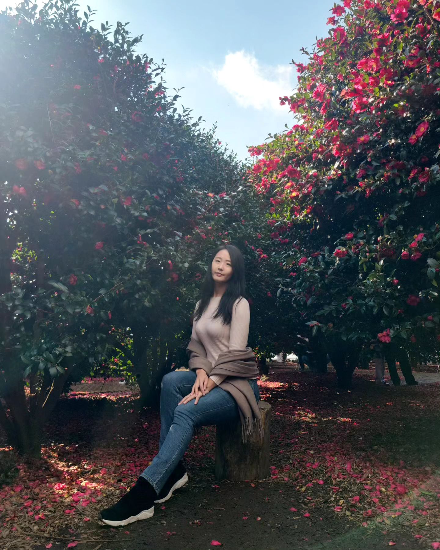 제주 동백포레스트🌺

11월말부터 제주는 동백으로 한창이에요.
카페와 함께 넓은 동백정원으로 동백꽃 사진찍기 좋아요💗

입장료는 6000원,
카페 내부의 큰 창에서 사진을 찍을 수 있지만
대기줄이 너무 길어서 포기🥲
카페에서 여유롭게 커피드실분에겐 비추!!
(내부 협소하고 테이블 불편...)

하지만 야외에서는 곳곳에 포토존이 많고 넓어서 
사람없이 사진찍을 수 있어요👍
겨울에 제주도가실때 들려보세요💗🌺

📌동백 포레스트
제주 서귀포시 남원읍 생기악로 53-38
영업시간 9:00~17:30

#제주도 #제주여행 #제주도동백 #제주도동백꽃 #슬슬님