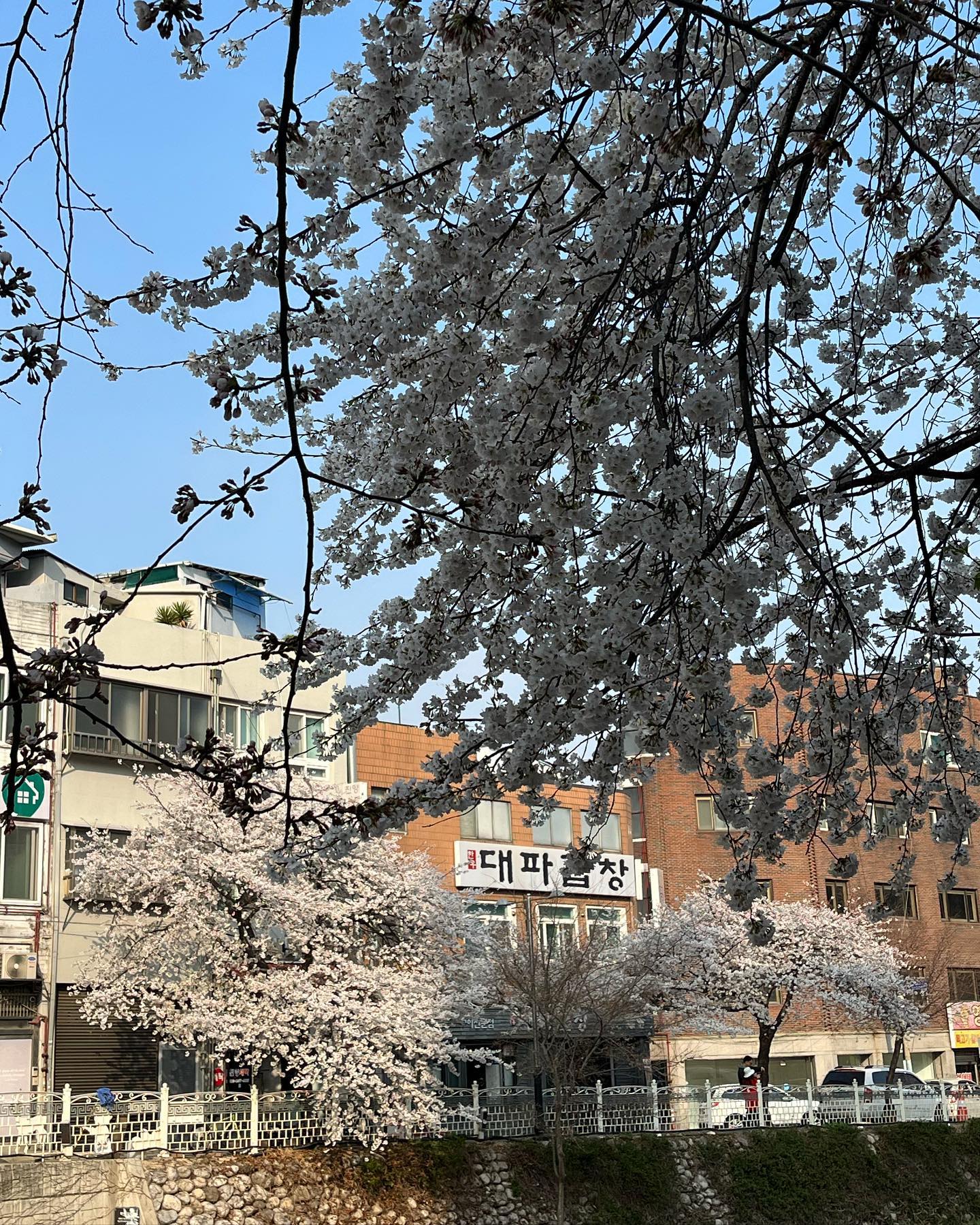 제법 감성적인 대파곱창