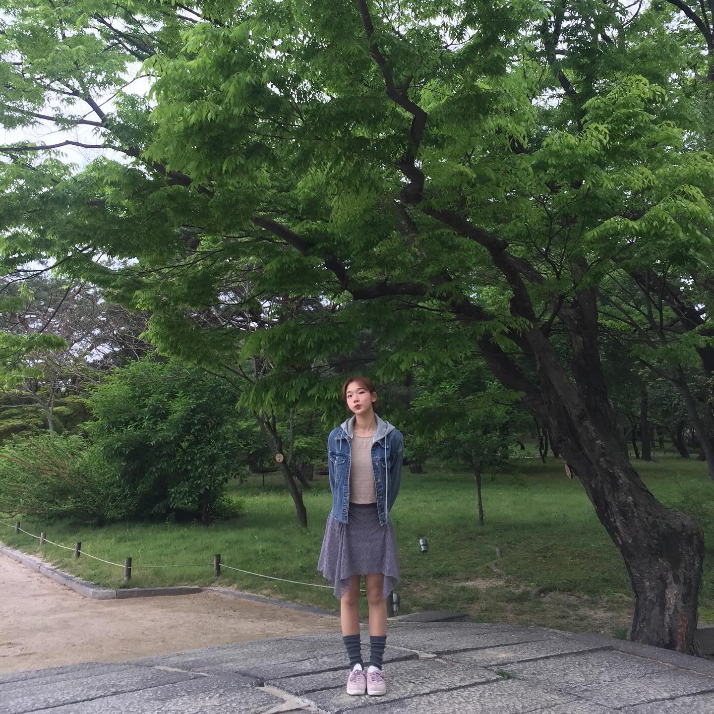 🌳