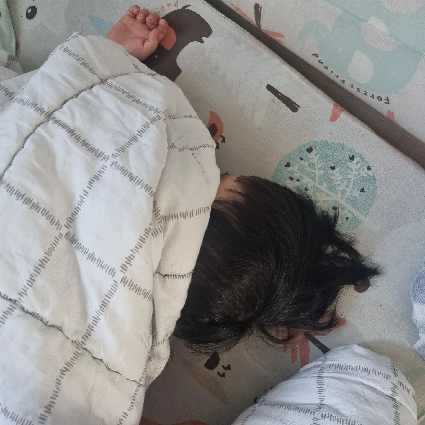 이불을 완전히  푹 덮고 자는 도윤이에요~~^^

아빠 닮아서  아침 잠이 많은 도윤이~~ㅎㅎ

오늘도  잘 지내보자ㅋㅋ

#아침잠 #잠이많은아이 #자는모습은천사 #귀엽당
