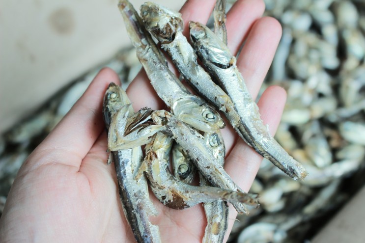 멸치손질하는법 멸치한박스 다듬기 육수용멸치 마른생활