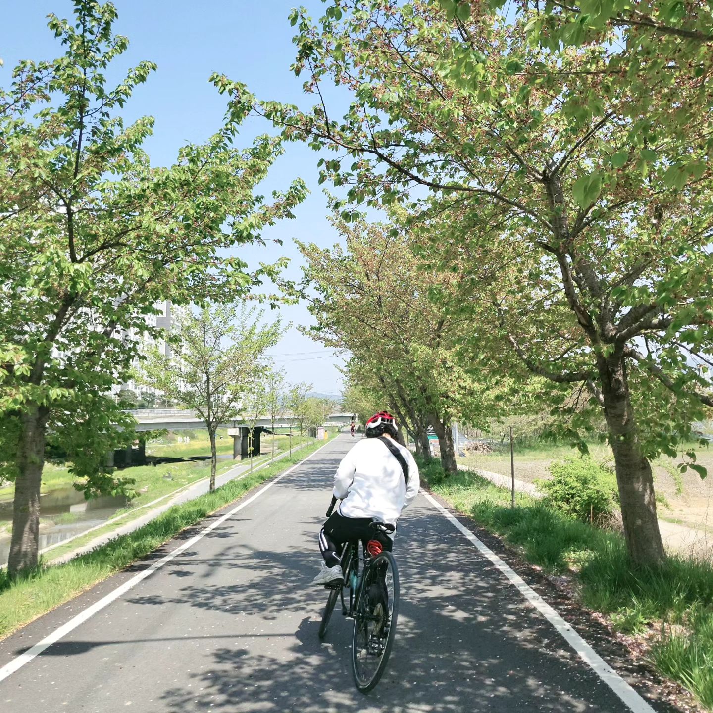 #첫줄⠀
⠀
주말 라이딩은 재미있고⠀
날씨도 좋아서 즐겁고⠀🚴🏻

#천안 #주말 #힐링 #라이딩 #자전거 #힐링스타그램 #라이딩그램 #좋아요 #팔로우 #일상스타그램 #셀스타그램