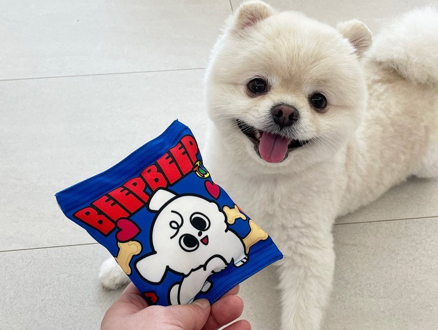 증말 너무귀여운 우리집 애깅이마루🐶
장난감도 조아하고 산책도 조아하고 먹는건 짱조아하고
어떻게 이렇게 귀엽찌이이이💓

#포메라니안