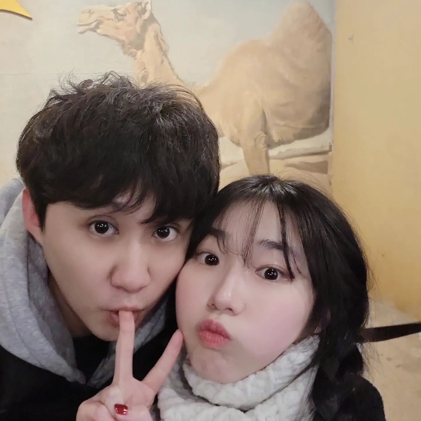 에버랜드 3탄 동물대탐험🐯🦁🐻🦓🦒🐘🦏🐪🐐🦙🦥

사파리랑 로스트벨리🤭 그리고 앞에 우리도 없이 평온하게 자고있는 뿌빠랜드 귀요미 카피바라에 사진찍을때 카메라봐준 미어캣까지.. 평소같았으면 웨이팅 짱 길었을텐데 눈치게임 대성공한 덕분에 되게 짧게 기다리구 동물친구들 봤지롱🩶
오빠가 젤 좋아하는 사자랑 한 컷🦁 호랑이랑도 같이 셀카한컷🐯 곰도 짱 크고...🐻 코뿔소🦏 사진 속 친구들말고도 완전 다양하게 알찼다아💕💕 동심으로 돌아간듯한 하루 행복했서..🥰

ㆍ
ㆍ
ㆍ
ㆍ

#에버랜드 #용인데이트 #사파리 #로스트벨리 #기린 #사자 #호랑이 #곰 #낙타 #코끼리 #코뿔소 #코끼리 #카피바라 #미어캣 #뿌빠랜드 #홍학해❤️ #동물원데이트 #동심의세계로🎈 #동물친구들 #럽스타그램 #동물스타그램 #겨울놀이공원 #일상스타그램 #커플스타그램💑 #forever💕 #💕💕💕💕💕
