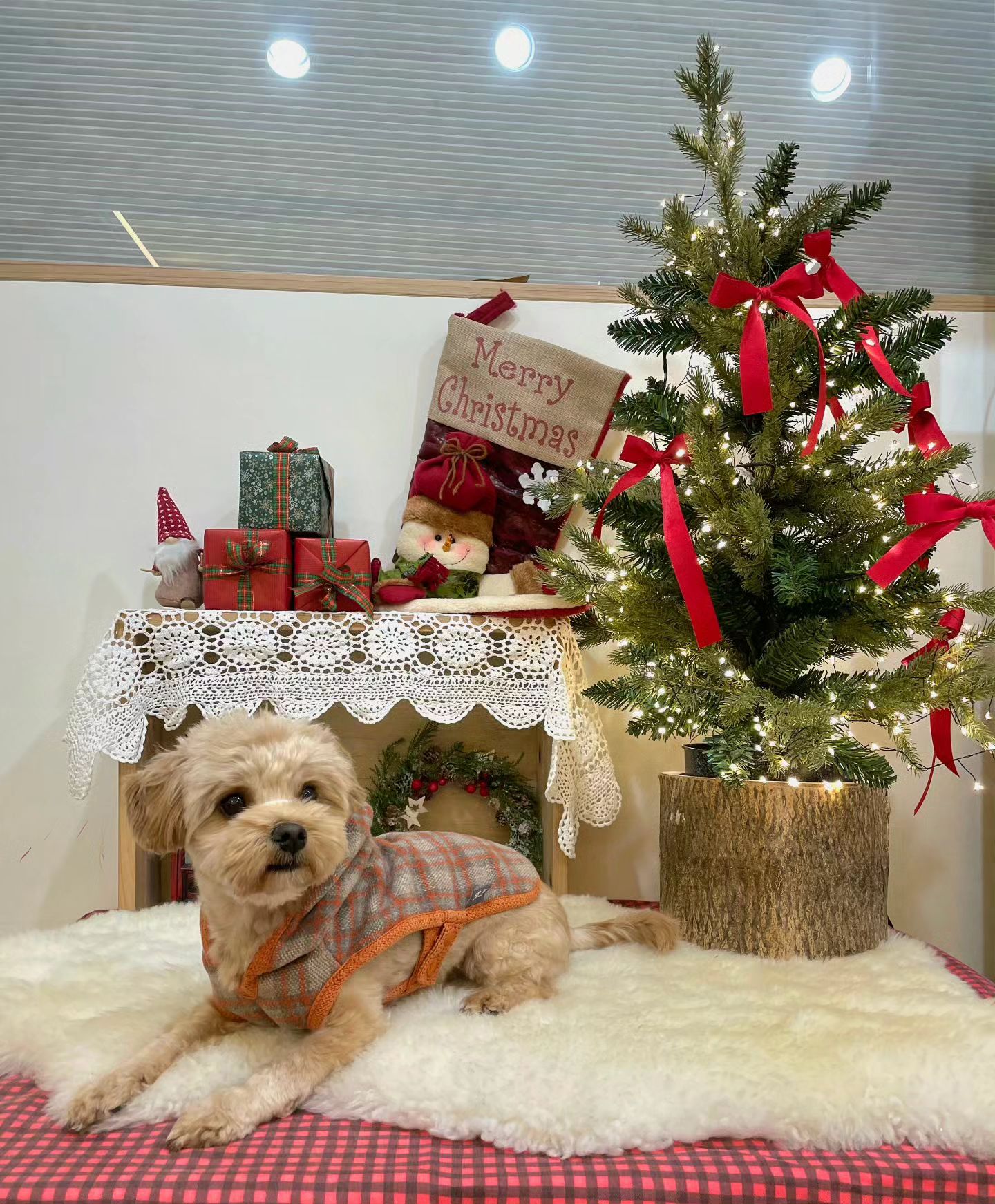 Happy Christmas🤍
산타 할아부지가 주신 선물🎅🎁
ourslippu 
aperty_official