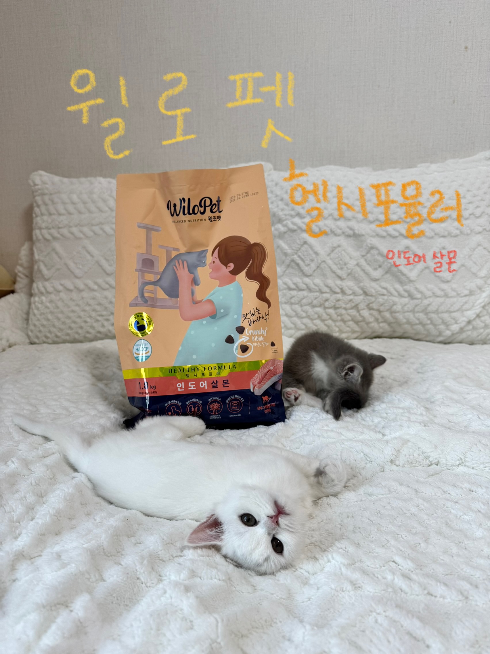 콘텐츠