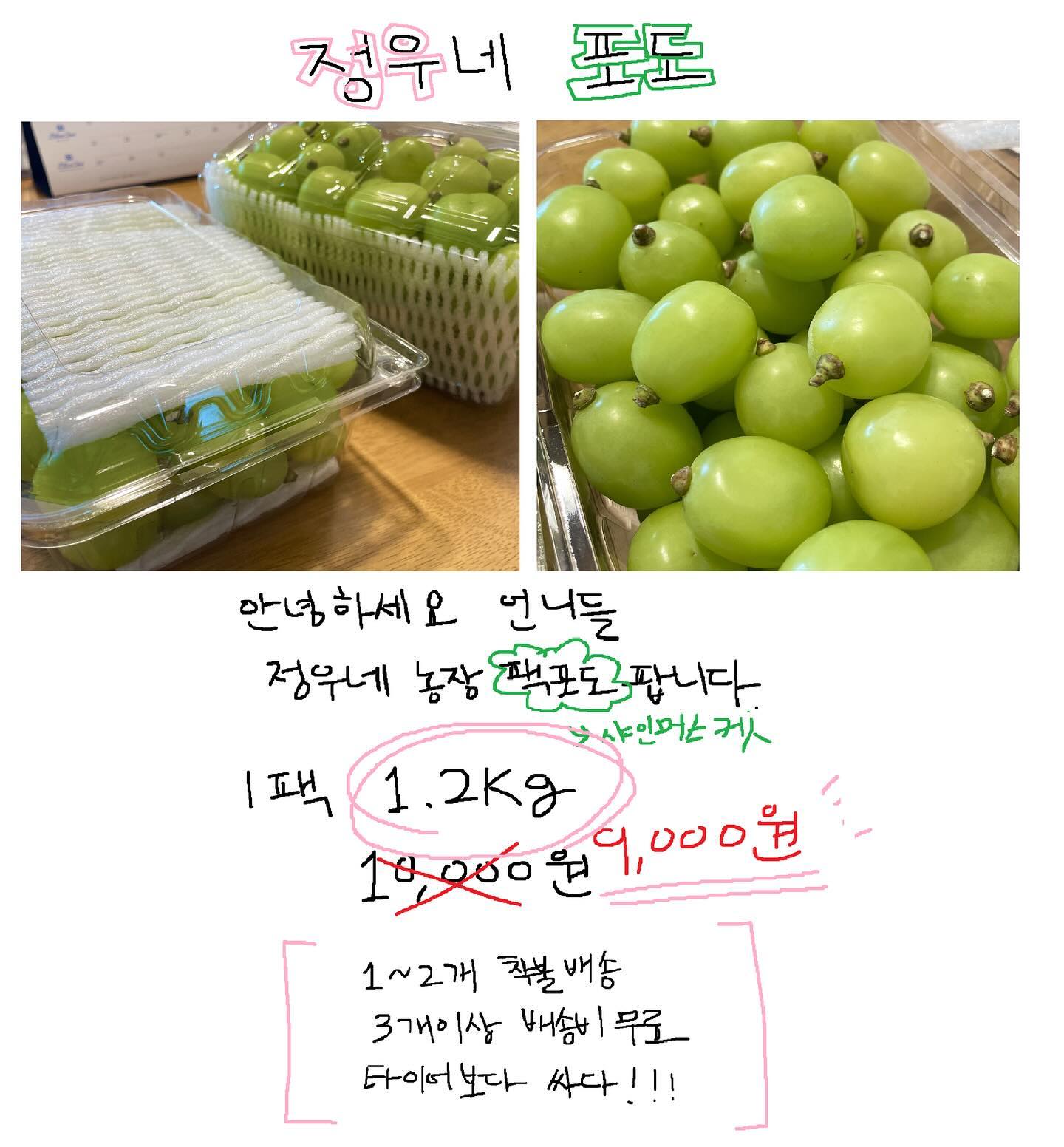 ——*재고소진*——- 감사합니다운니들^^

샤인머스켓 팩포도 팝미다
저온창고 넣기전에 빨리 팔아야댐!!
1팩당 1.2kg 9,000원 
디엠주세욤