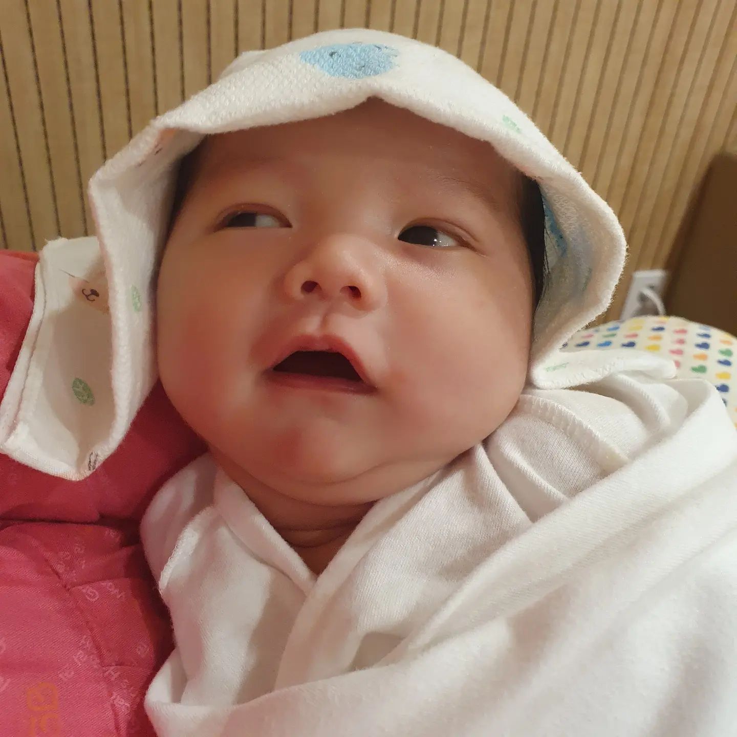 인생9일차
9일차 치고는 너무 아기모습...🤣