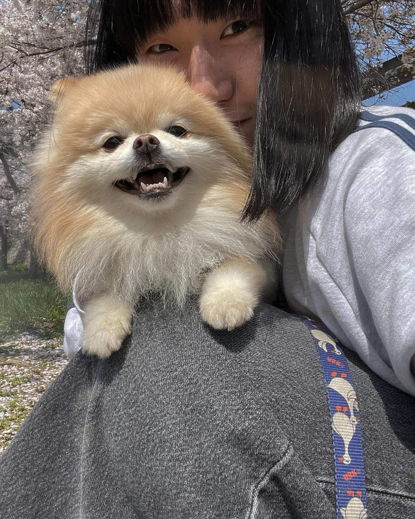 밤빵양갱🌰🤍

#밤양갱 #왕밤빵 #밤빵 #벚꽃